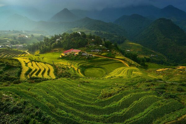 Krajobraz przedstawiający tarasy ryżowe