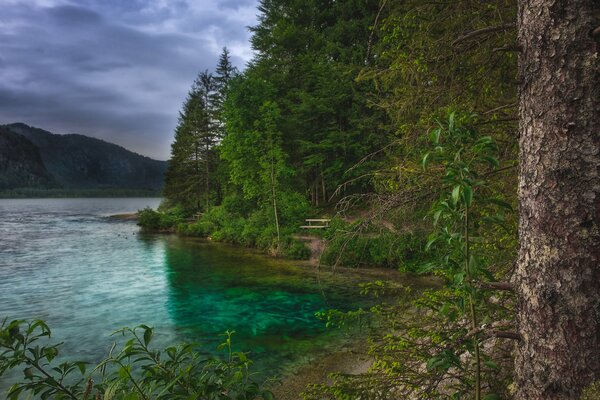 Summer landscape with emerald sea