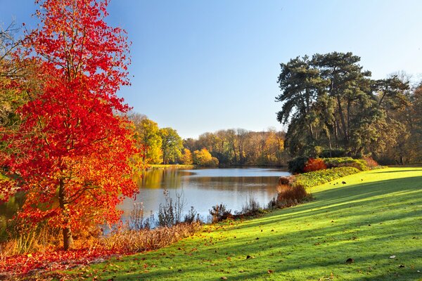 Sonniger Herbsttag am Ufer