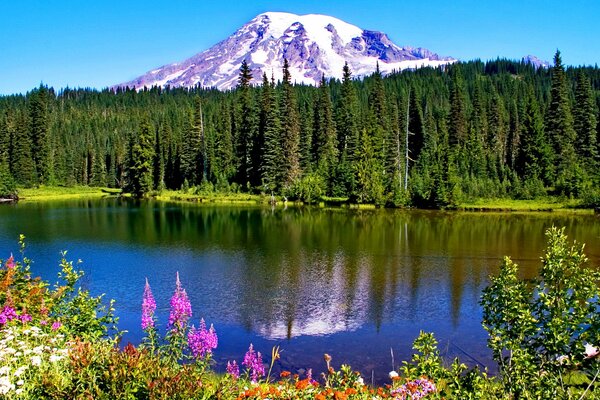 Parco nazionale in Canada con montagne, lago e fiori