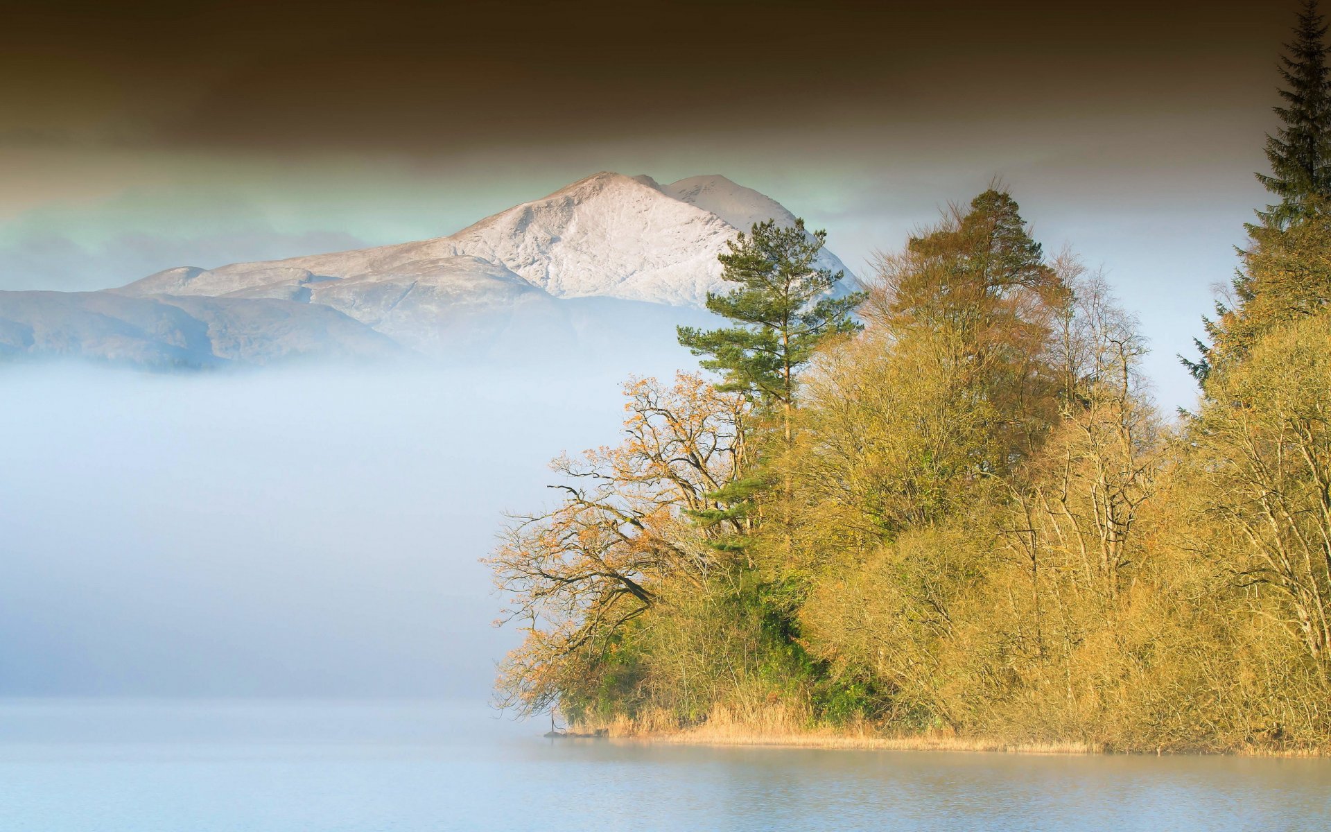 montagna foresta lago nebbia