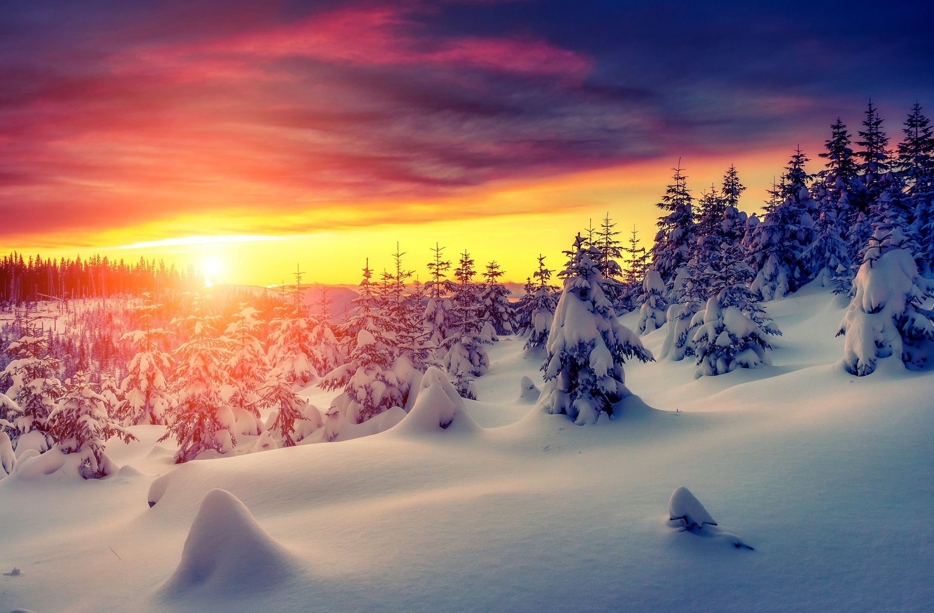 natura inverno neve cielo paesaggio inverno bianco tramonto