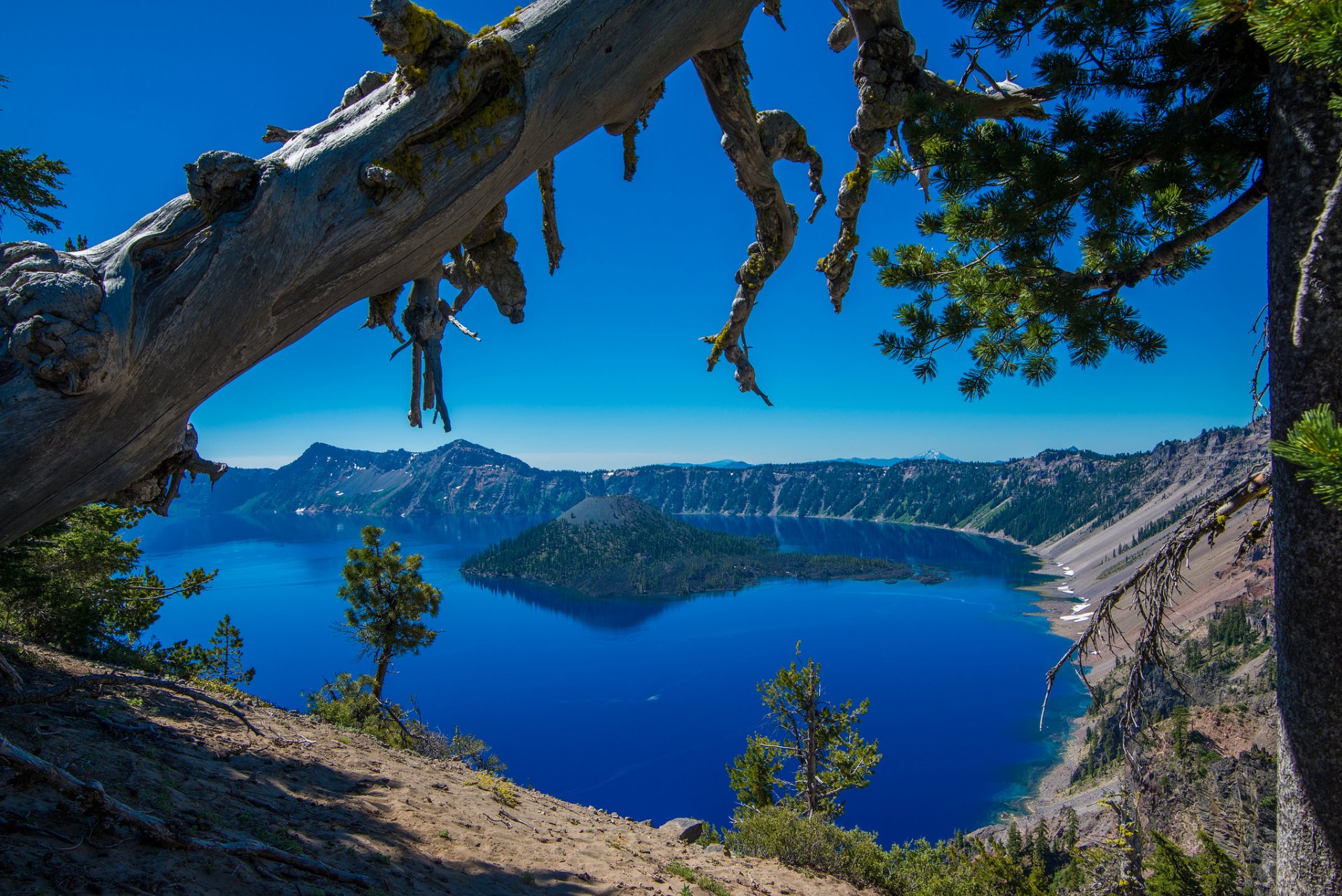 lago del cráter parque nacional del lago del cráter oregon lago del cráter isla árboles