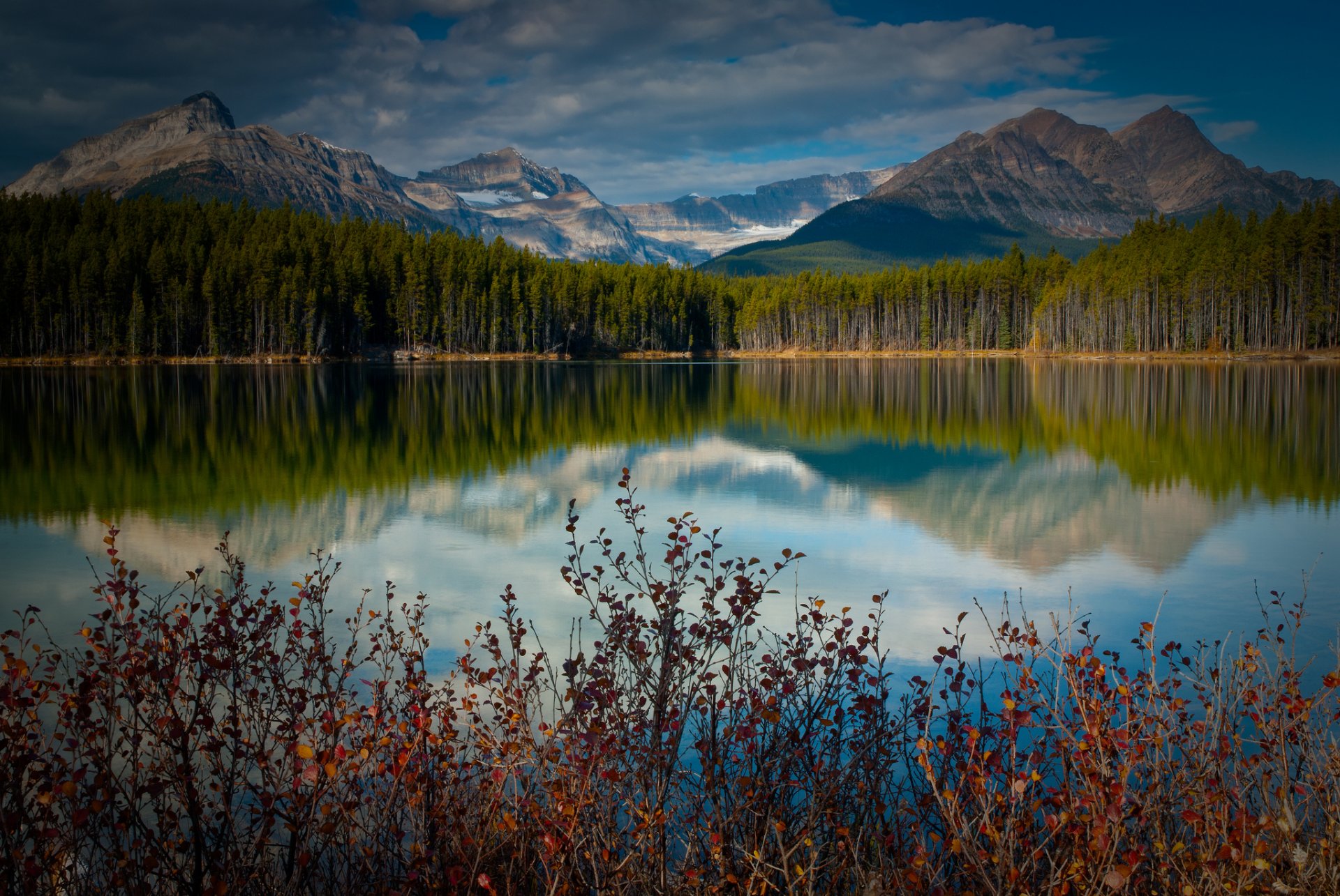 canadá lago montañas reflexión bosque arbustos