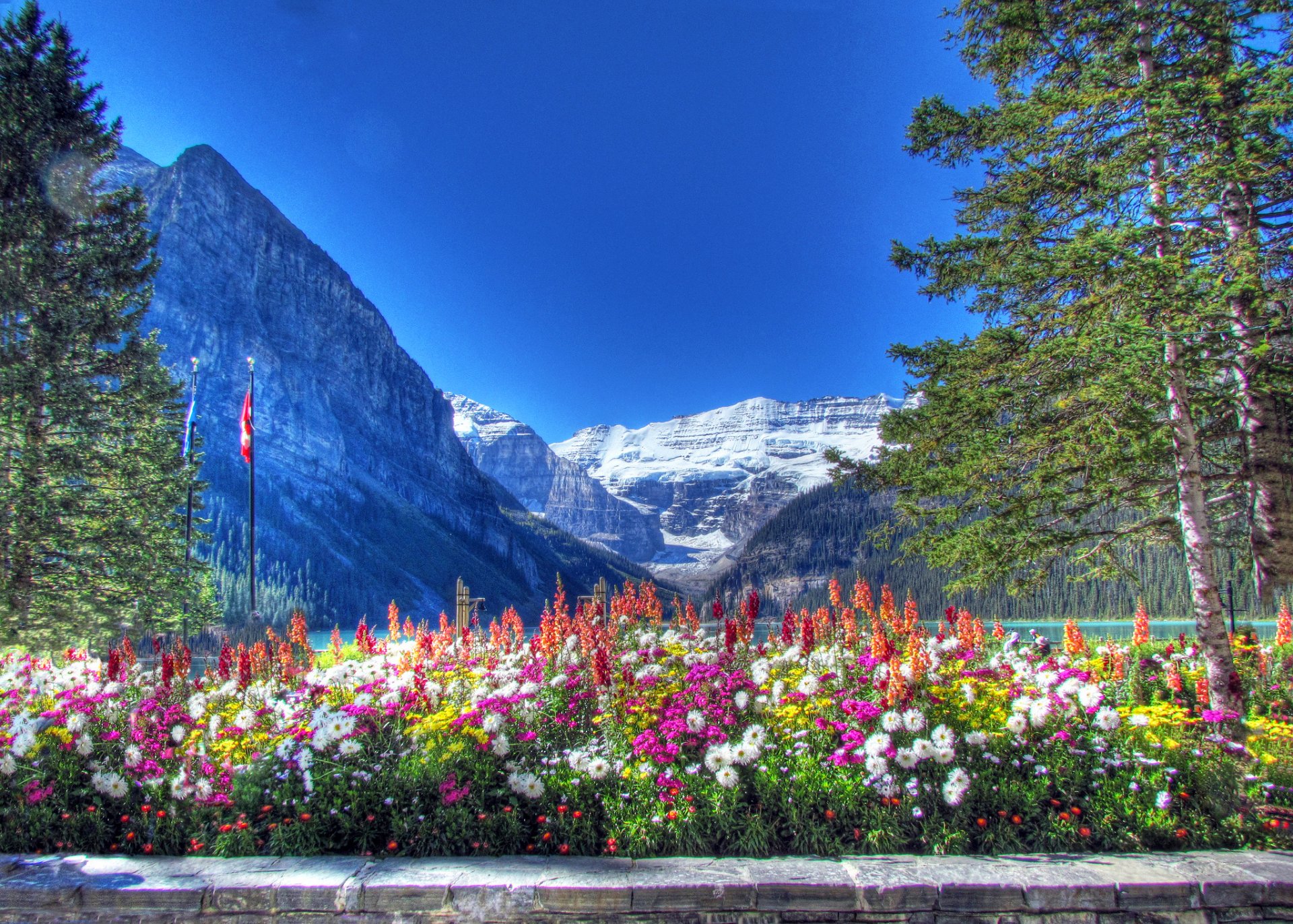 parco nazionale di banff alberta canada montagne cielo lago alberi fiori aiuola neve