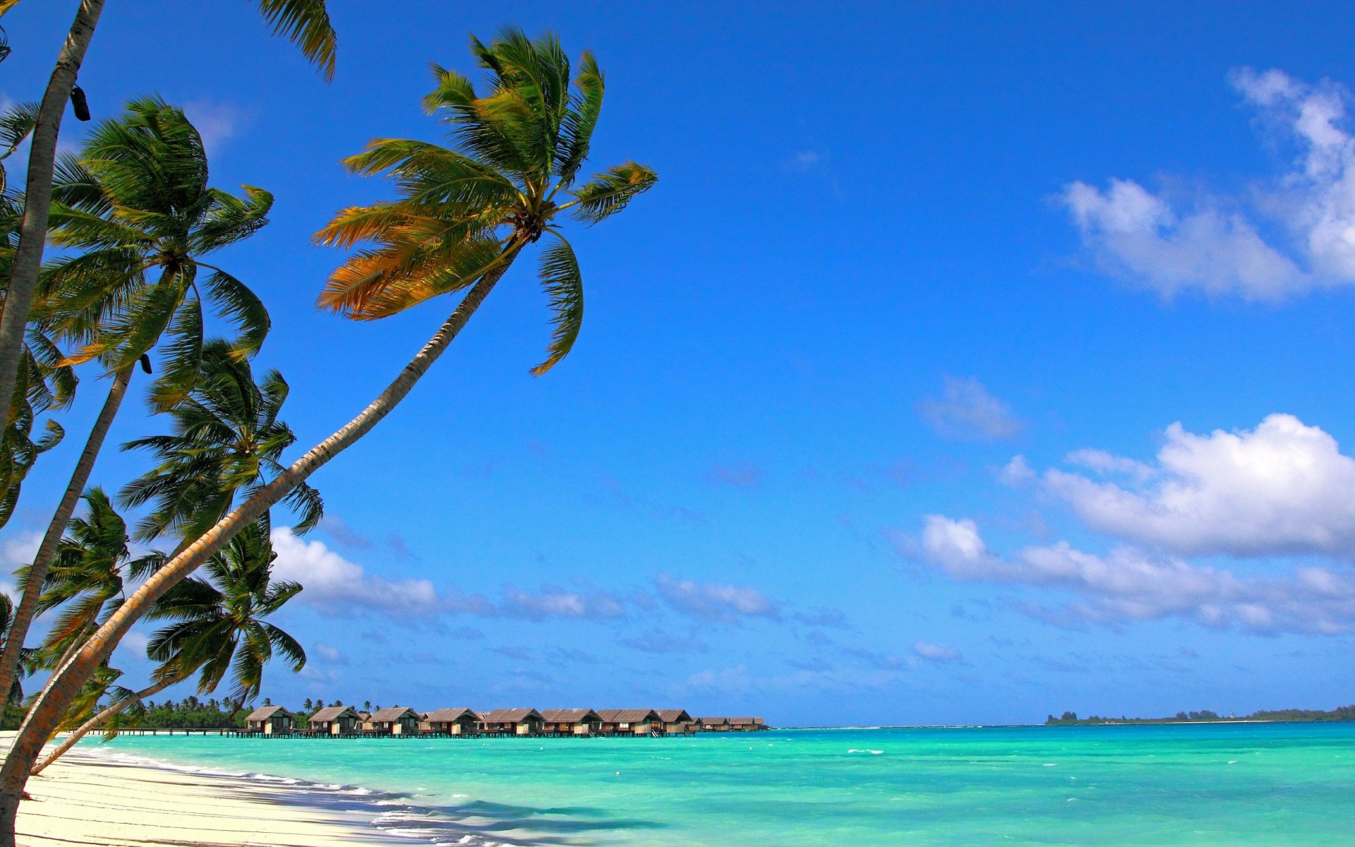 strand palmen sand ozean bungalow himmel wolken