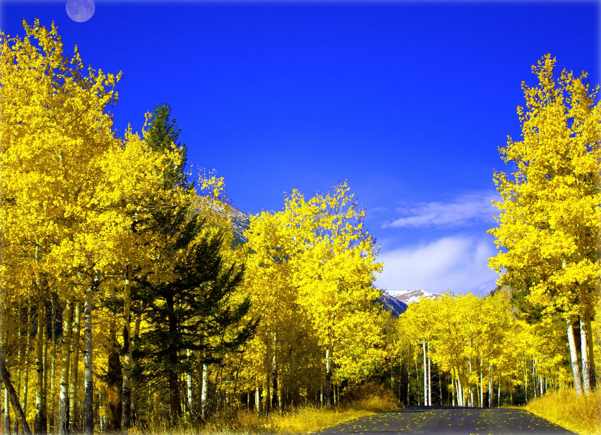 ciel lune route forêt arbres automne feuilles montagnes feuillage nature