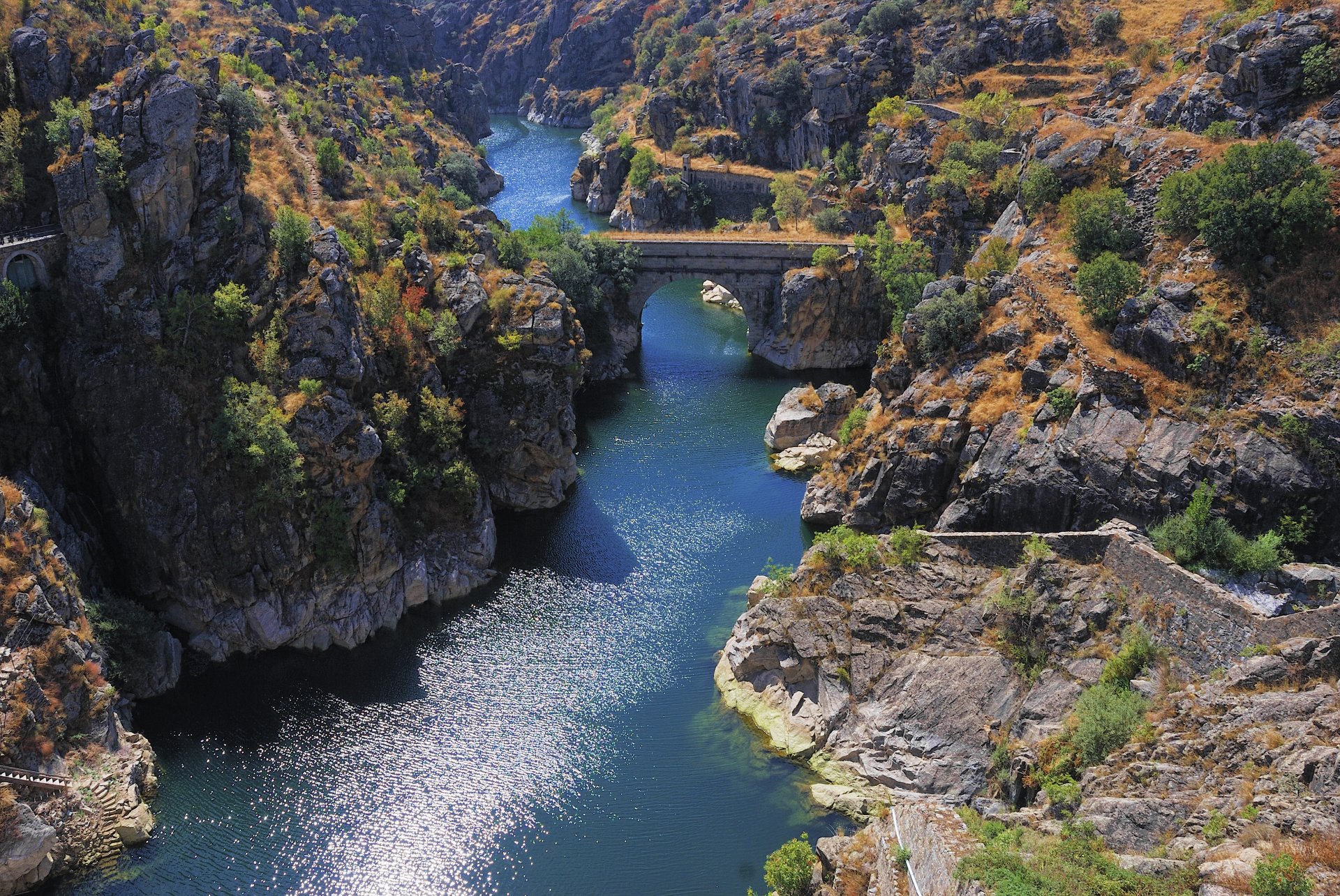 rock tree bridge river