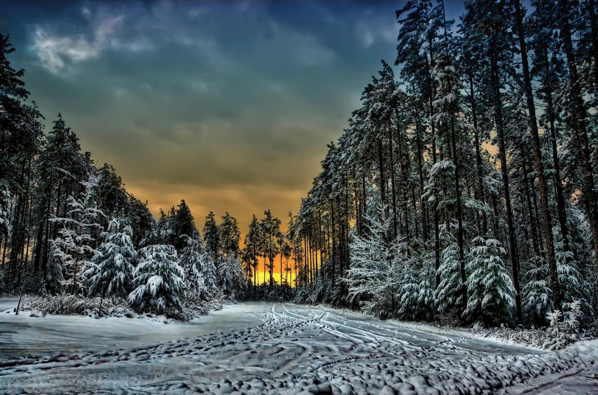 kanada ontario wald winter schnee spuren bäume sonnenuntergang wolken