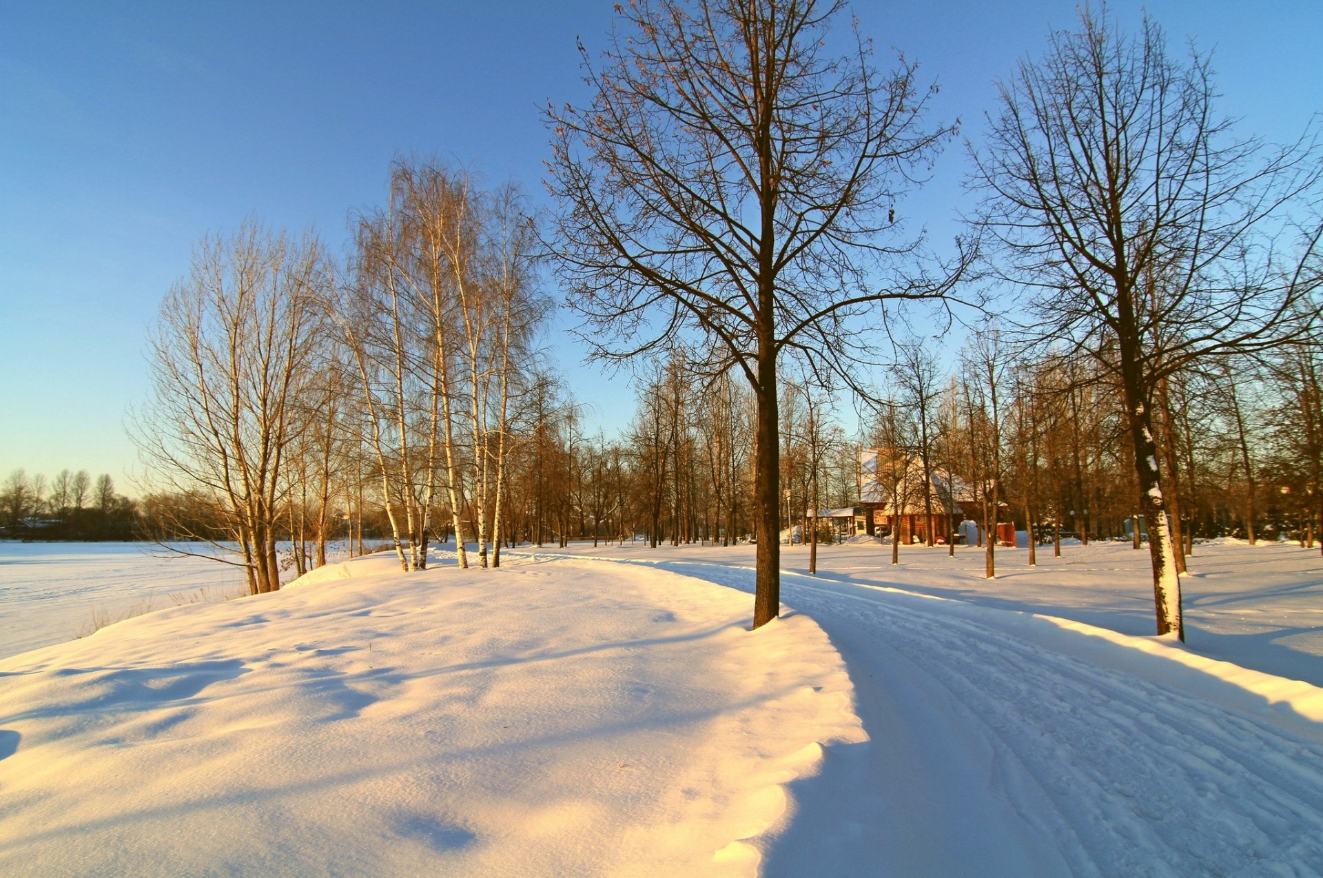 hiver arbres maison route neige matin ciel