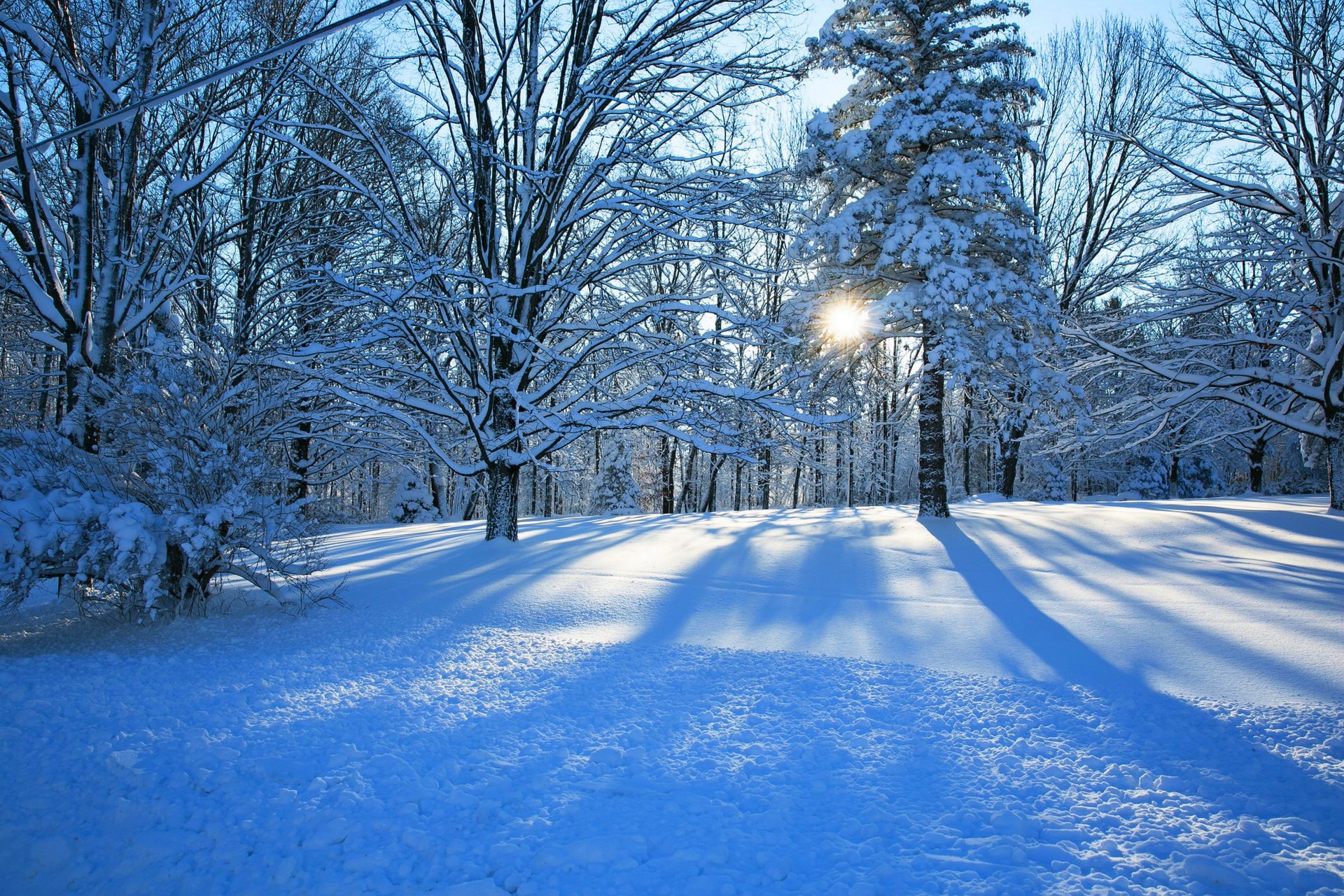 natur winter schnee straße bäume wald himmel landschaft winter weiß cool schön sonnenuntergang