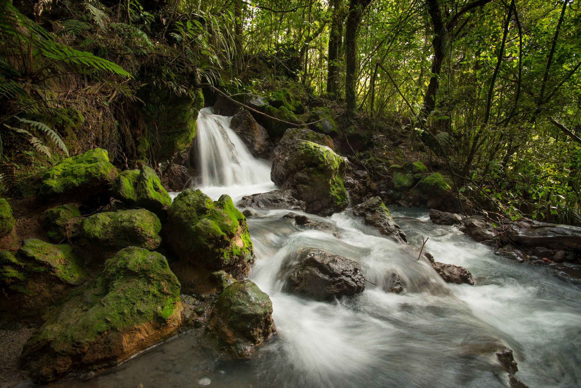 ketetahi stream tongariro national park new zealand feed waterfall forest stones creek river