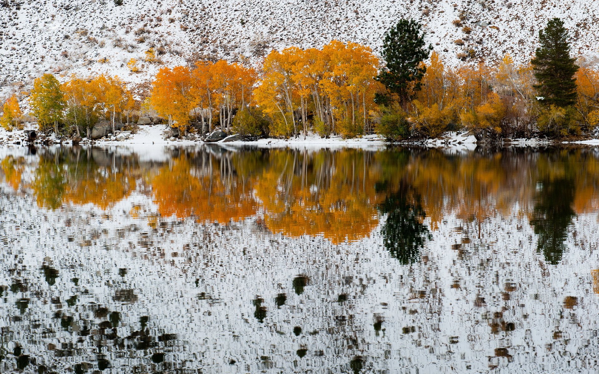 fall snow bishop creek california refection