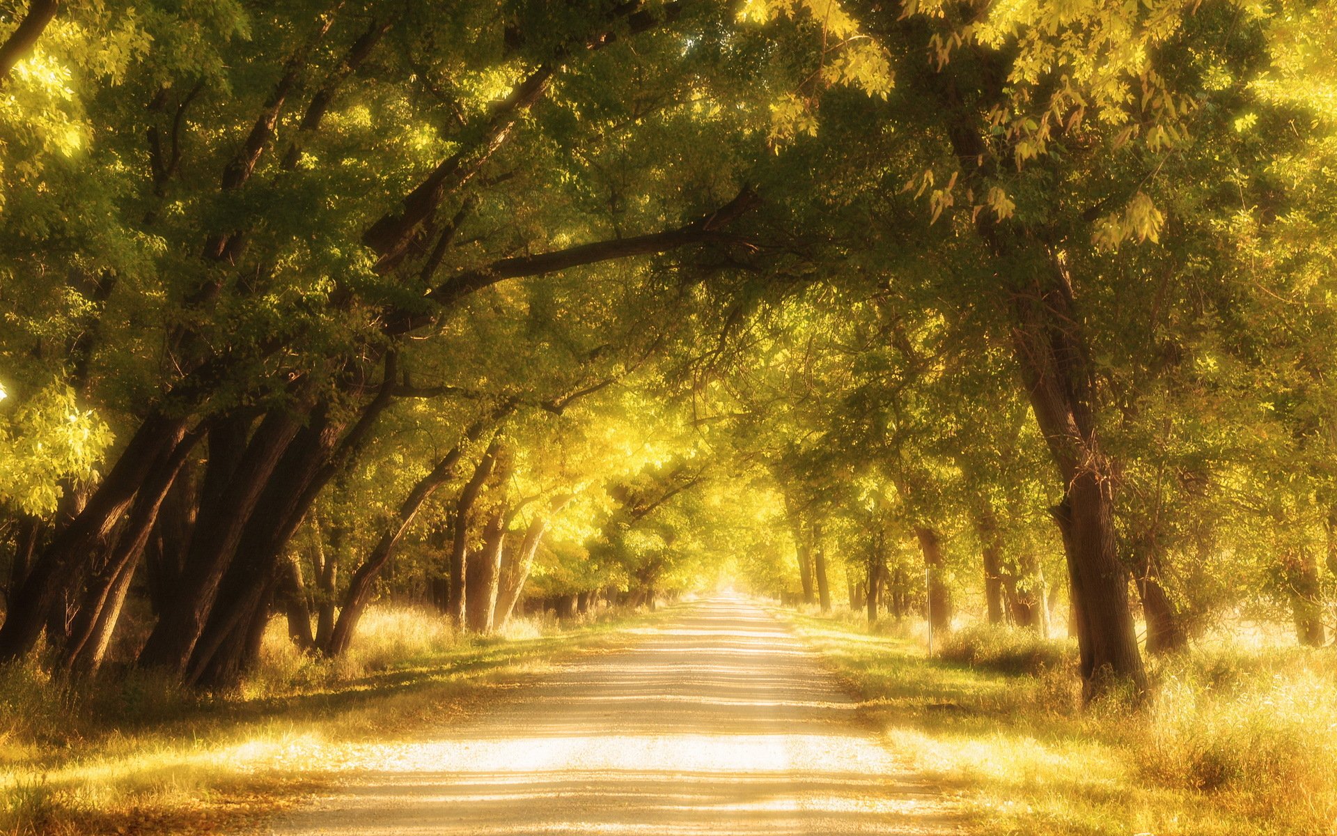 goldstraßen straße herbst