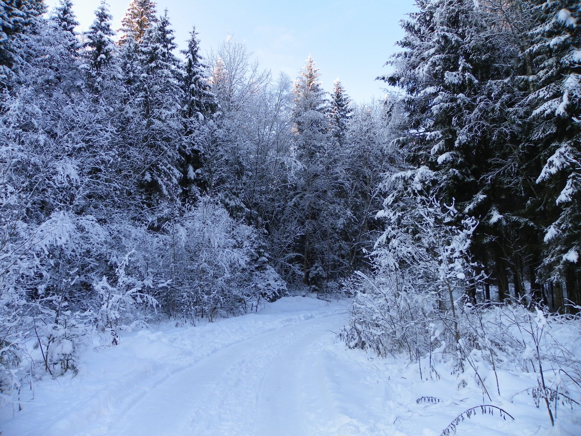 invierno carretera giro