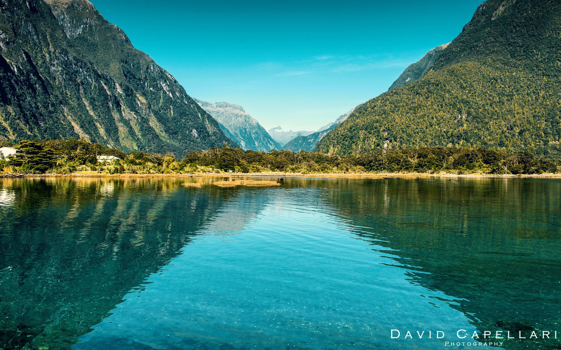 nuova zelanda montagna paesaggio lago natura david capellari