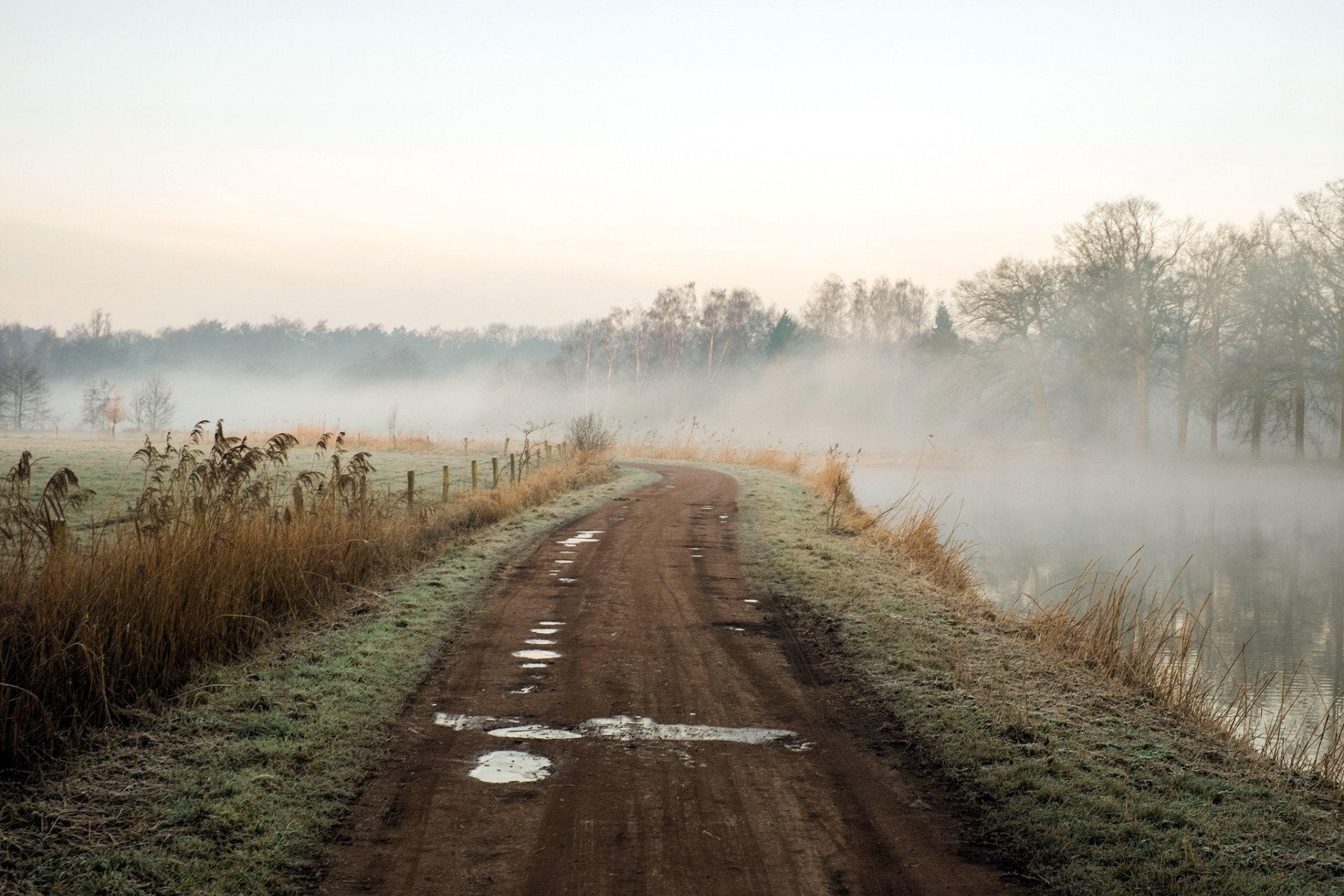 morgen straße fluss nebel natur landschaft