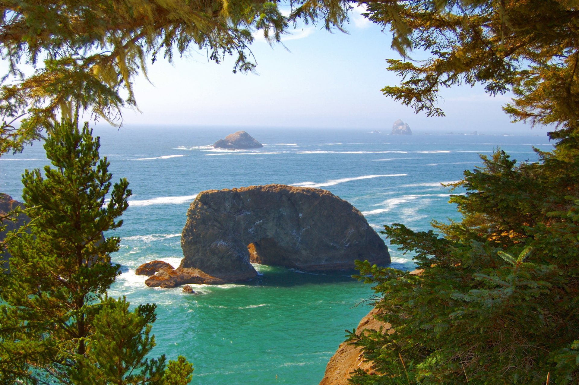 wybrzeże pacyfiku fale wybrzeże skały drzewa oregon usa