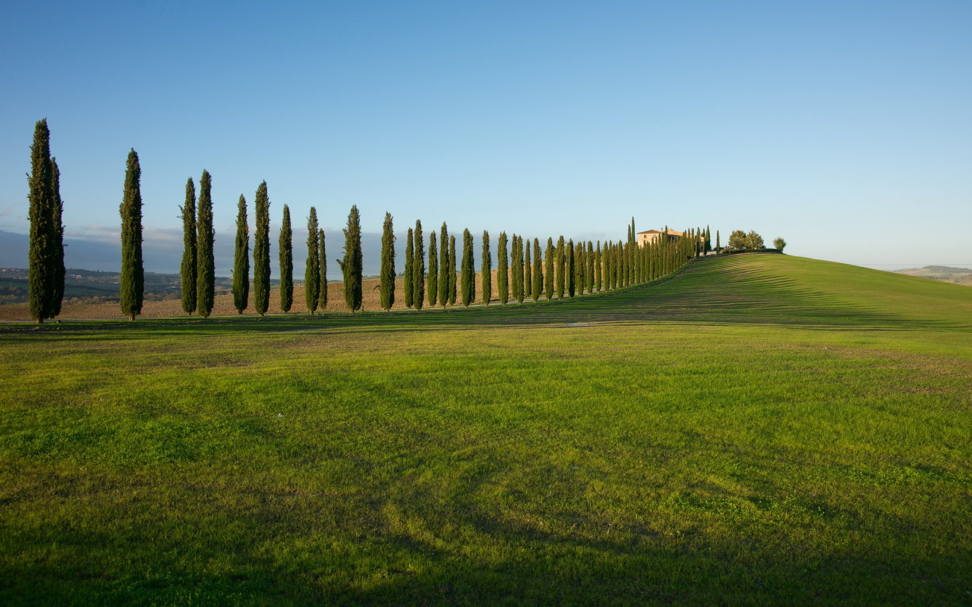 champ arbres paysage