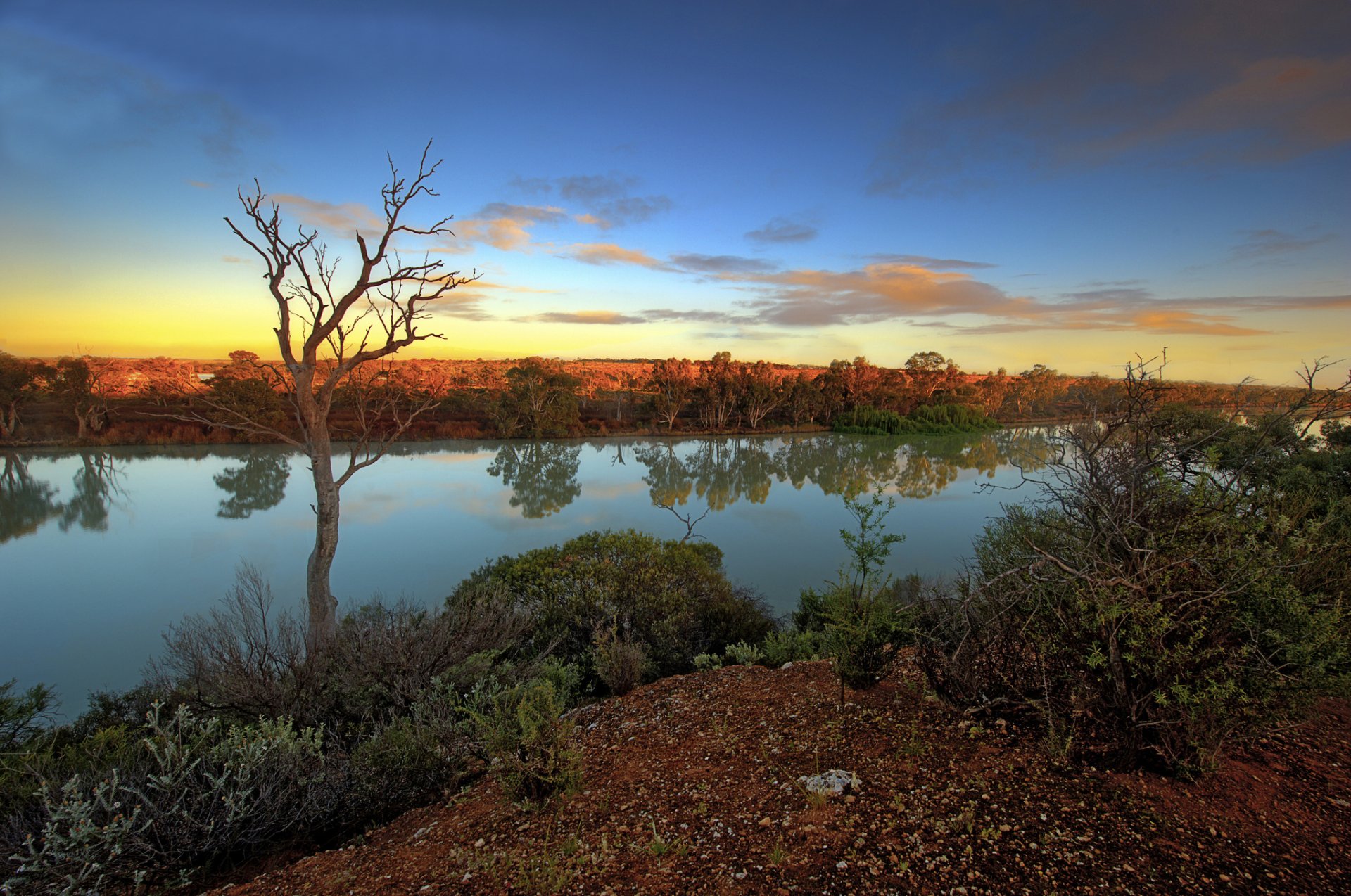 rivière arbres réflexion soir coucher de soleil