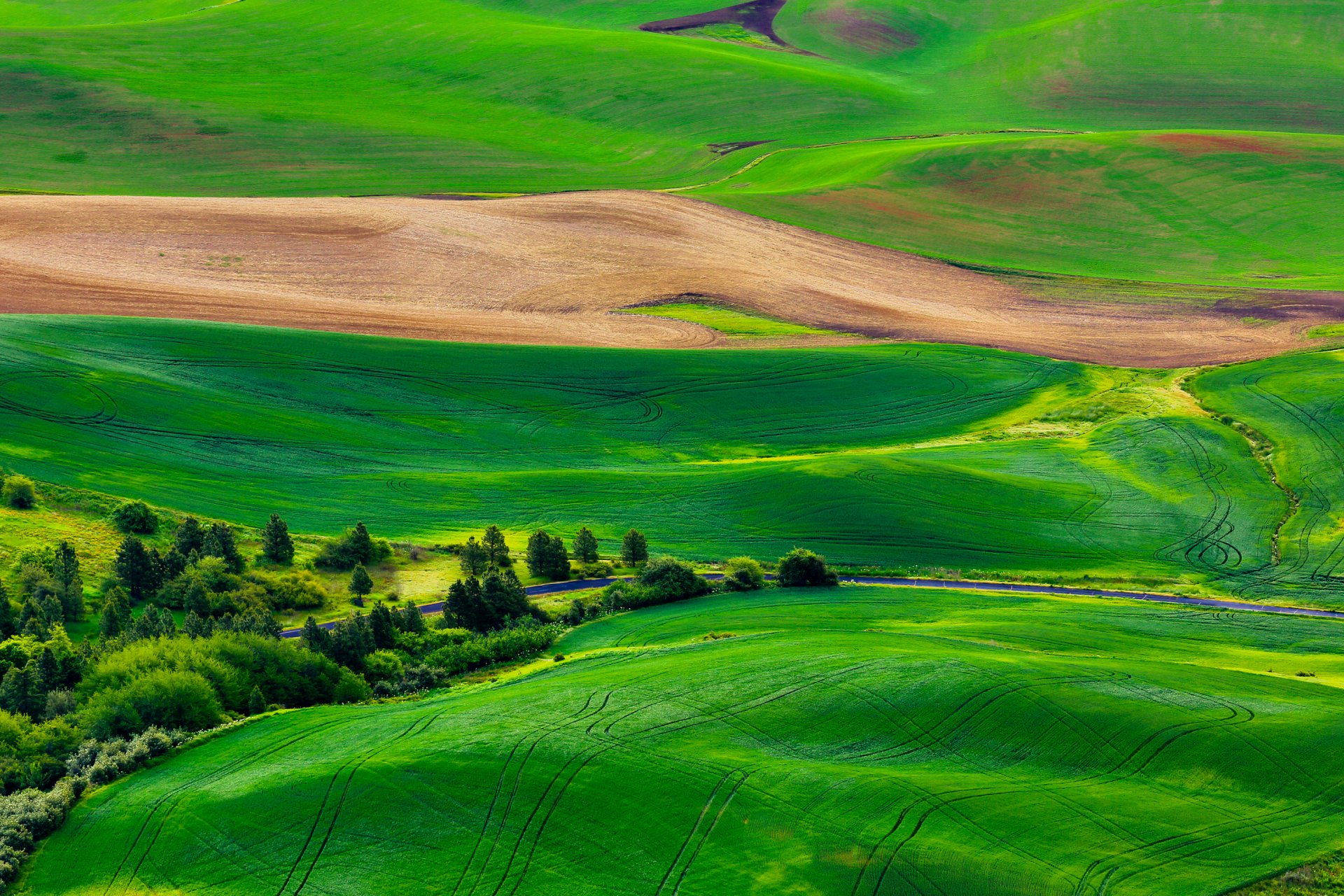 natura campo colline erba strada alberi panorama