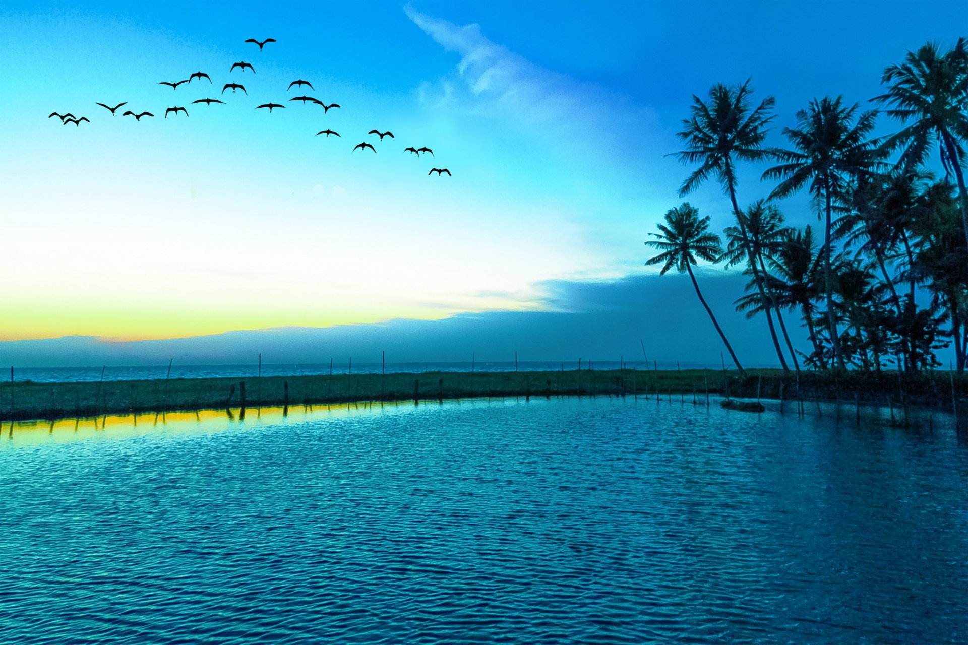 landscape blue sky sea gull