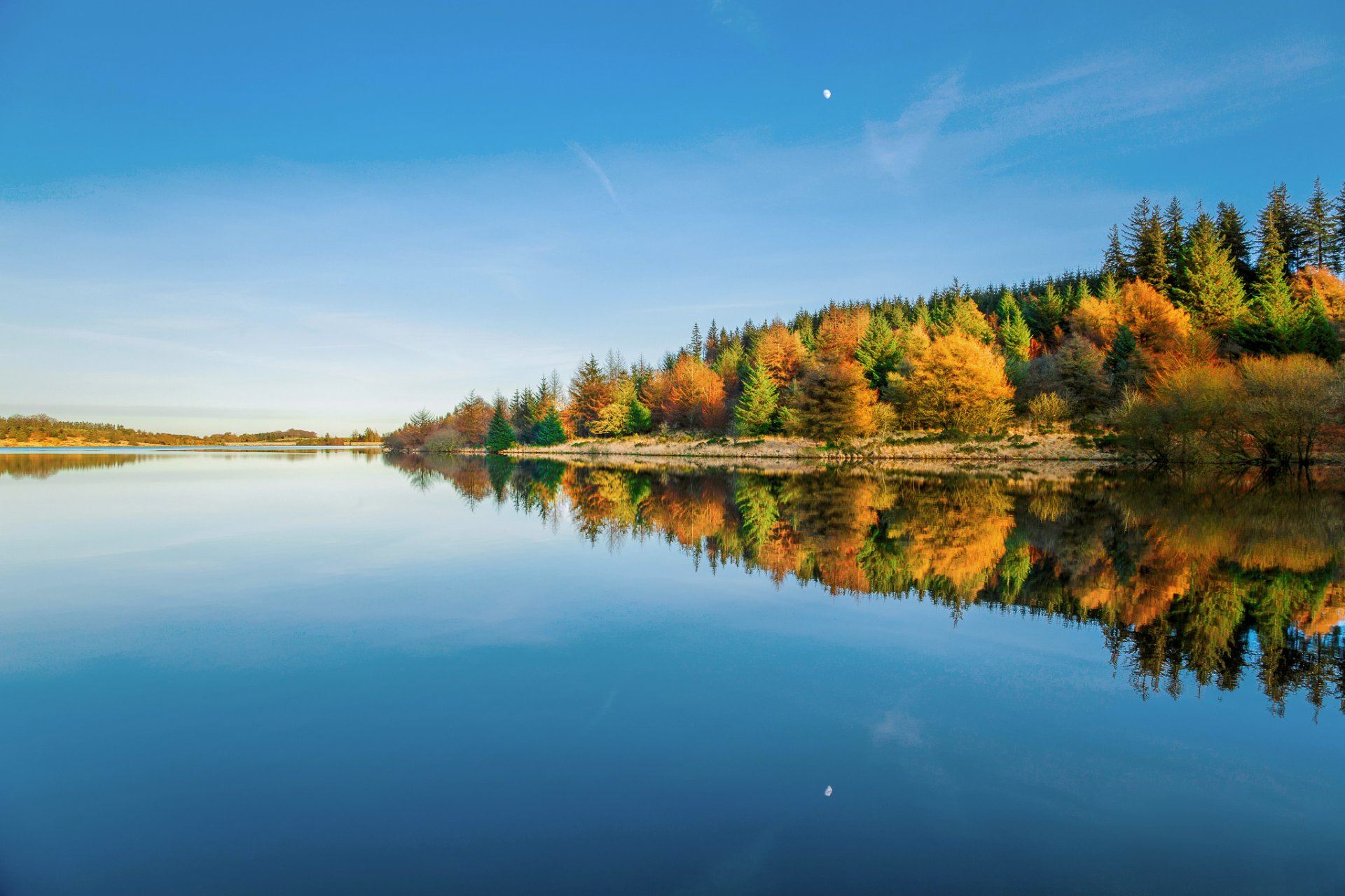 inghilterra regno unito parco nazionale di dartmoor contea di devon serbatoio acqua cielo alberi foresta riflessioni inverno gennaio