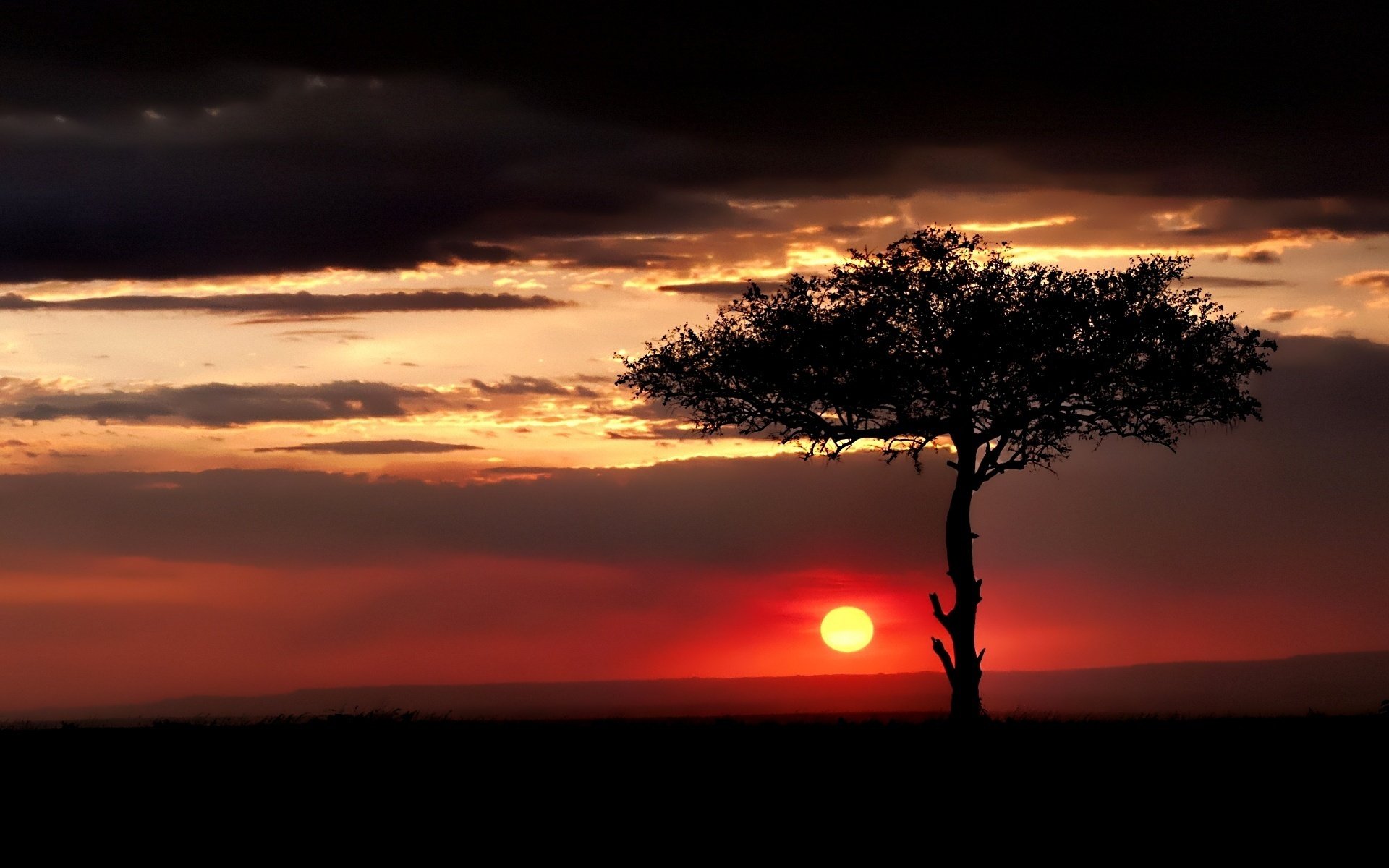 sol puesta de sol cielo nubes árbol