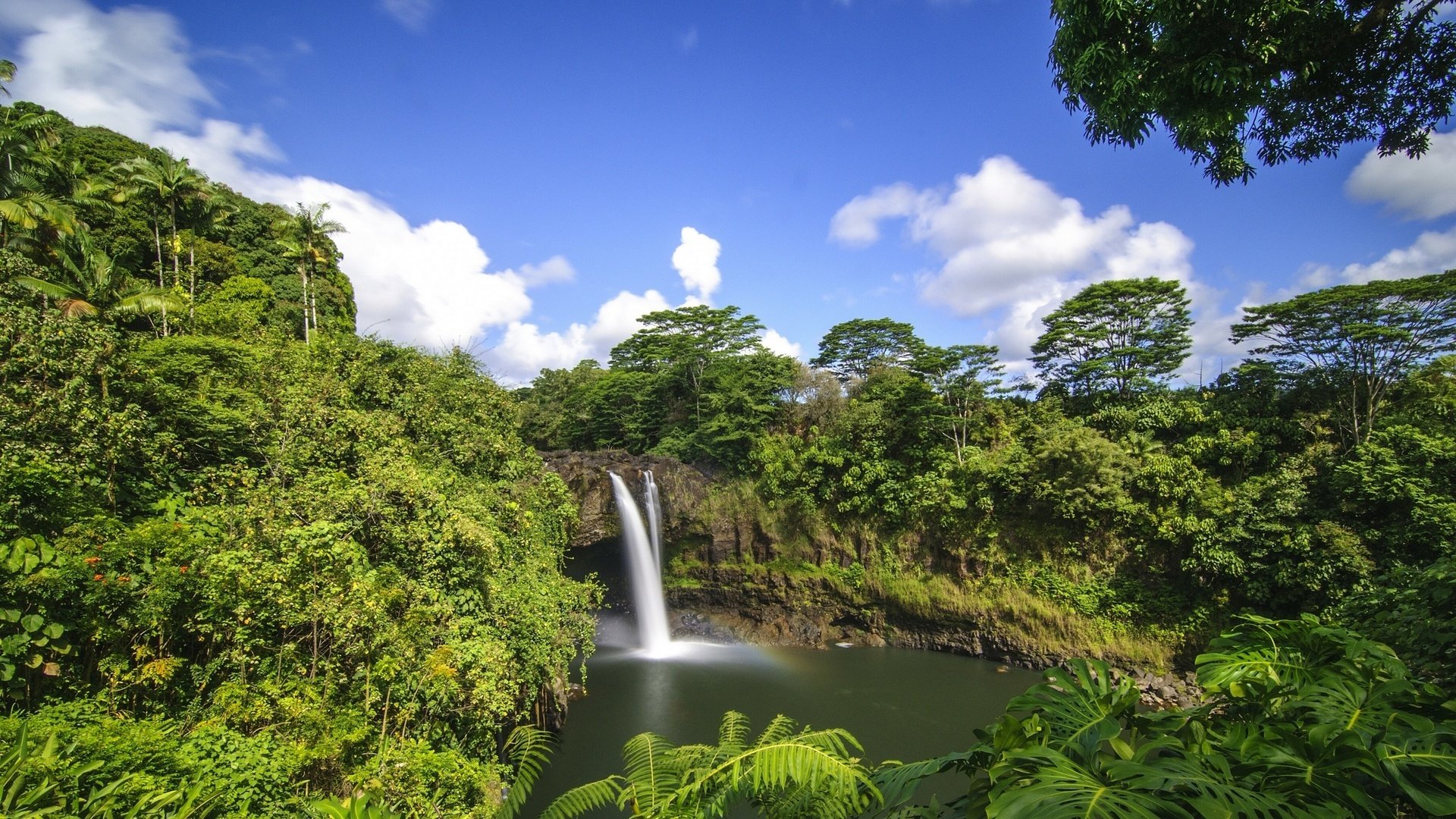 nature tree foliage waterfall sky cloud