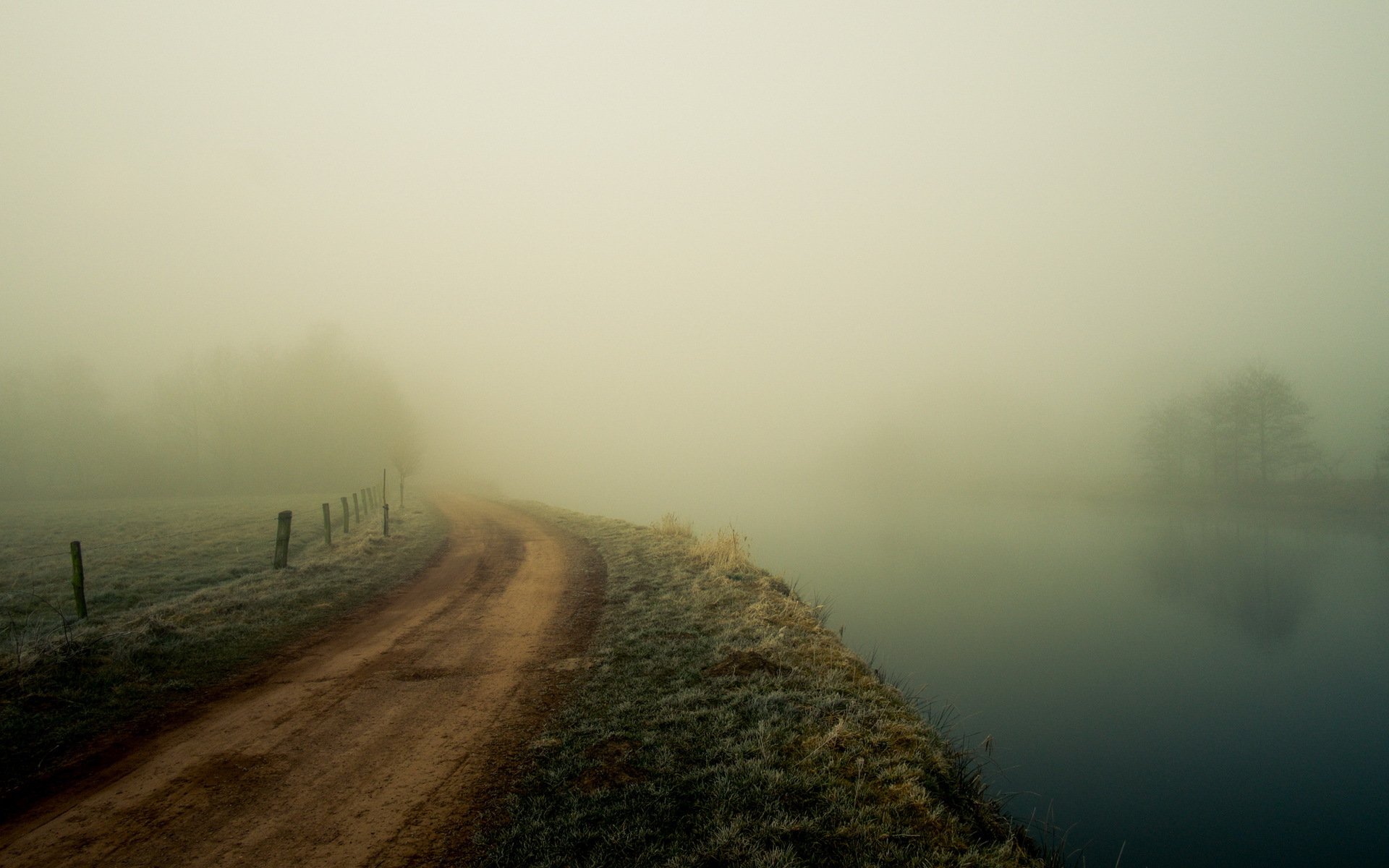 river road landscape fog