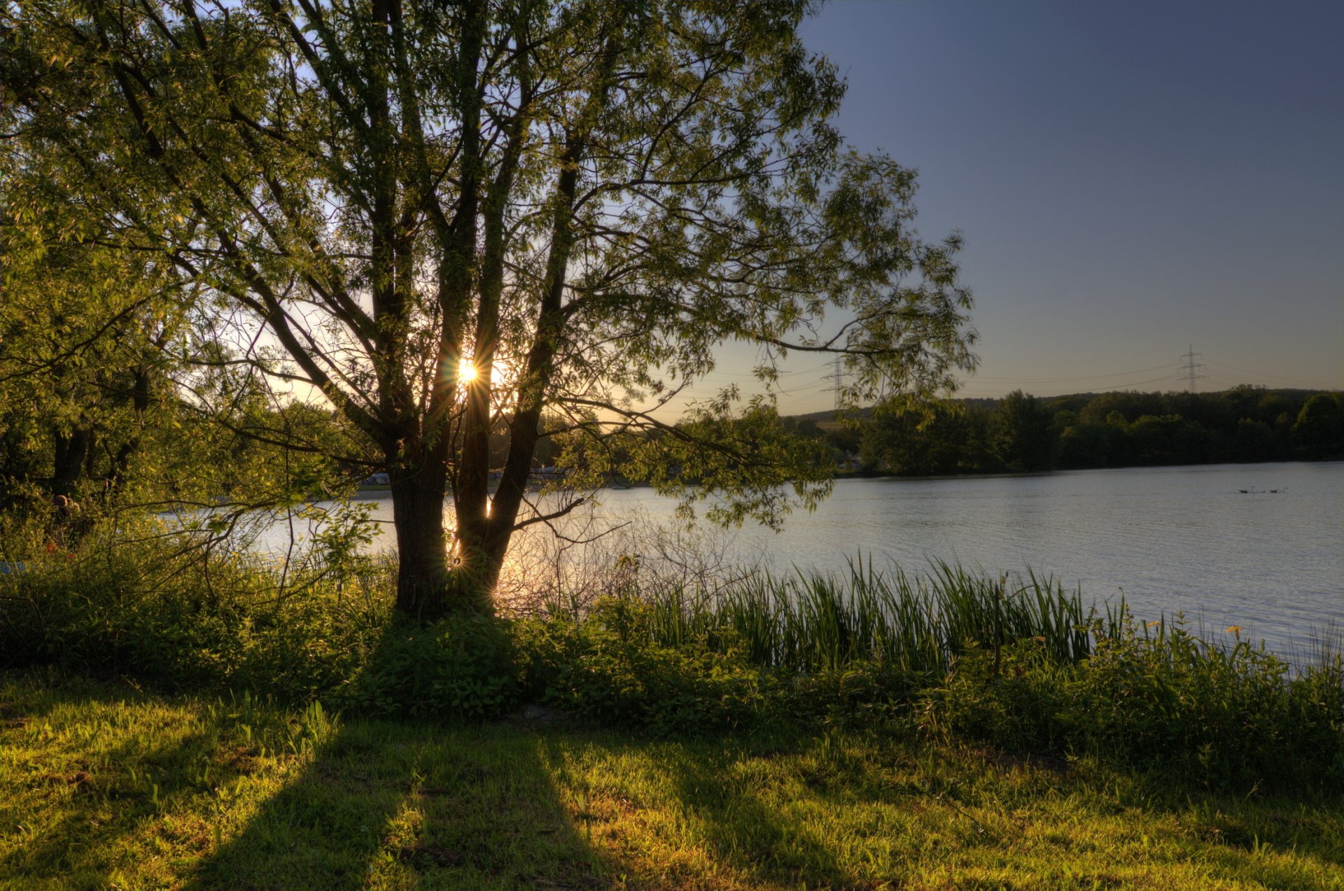 deutschland hessen wettenberg see ufer baum himmel sonne strahlen