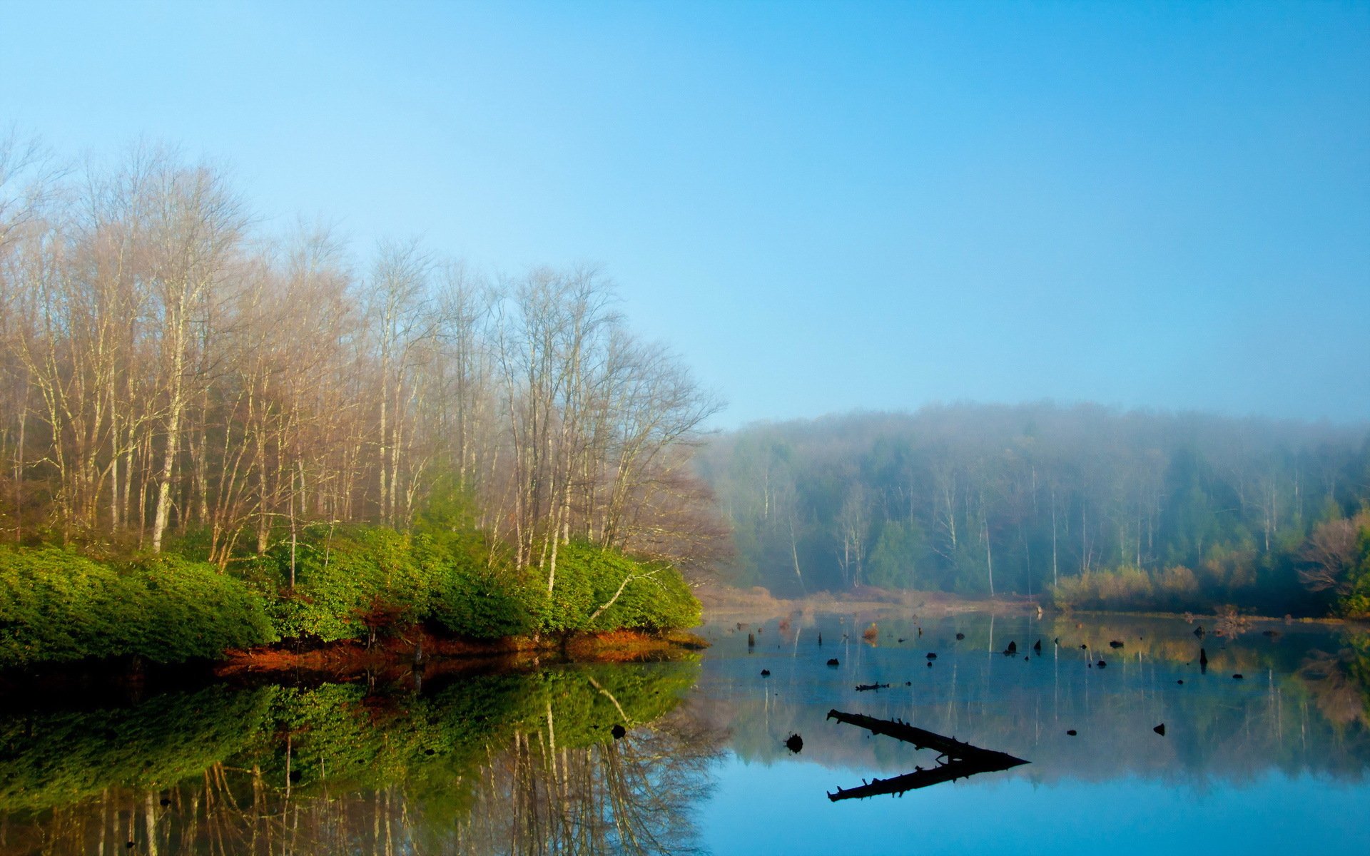 morgen nebel see landschaft