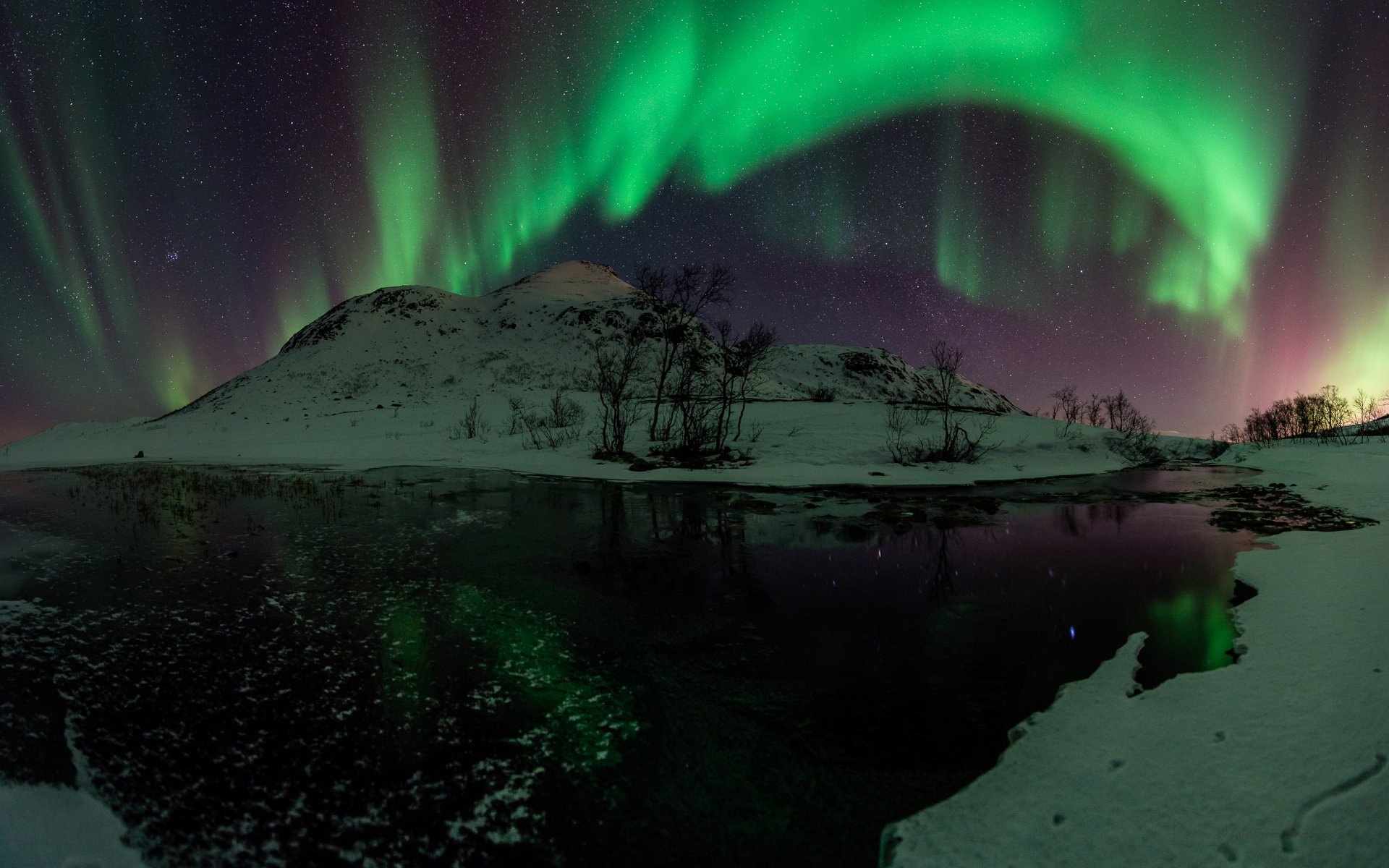 ausstrahlung nordlicht nacht grün schnee wasser sterne bäume