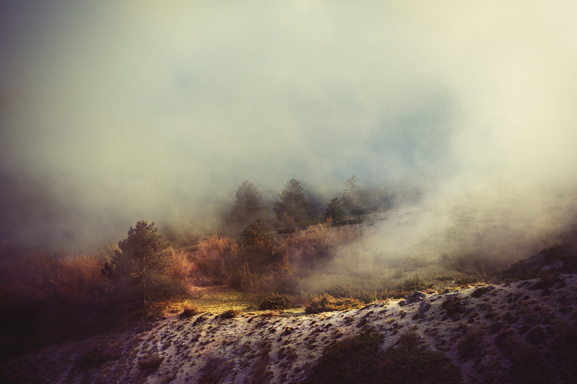 árboles colina niebla bruma velo