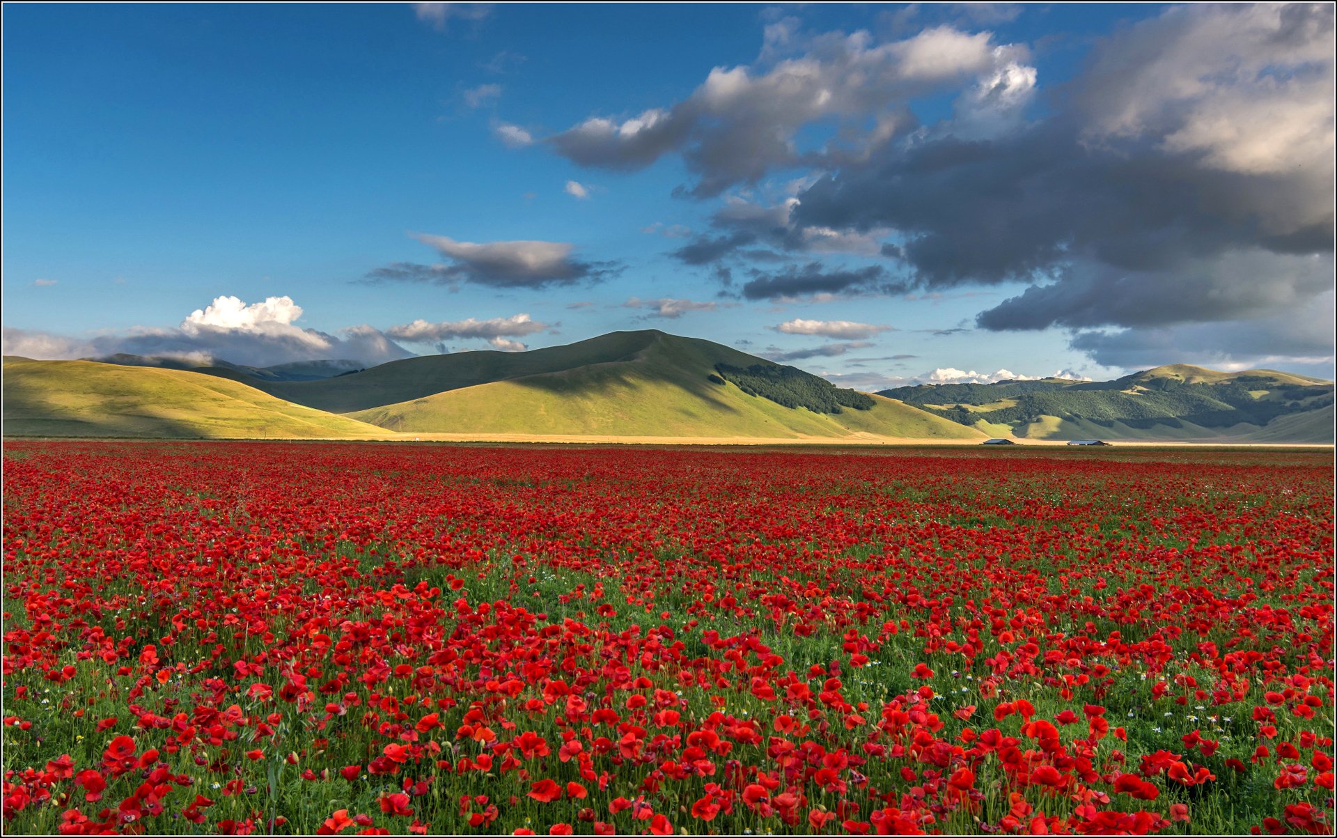 весна в горах дагестана