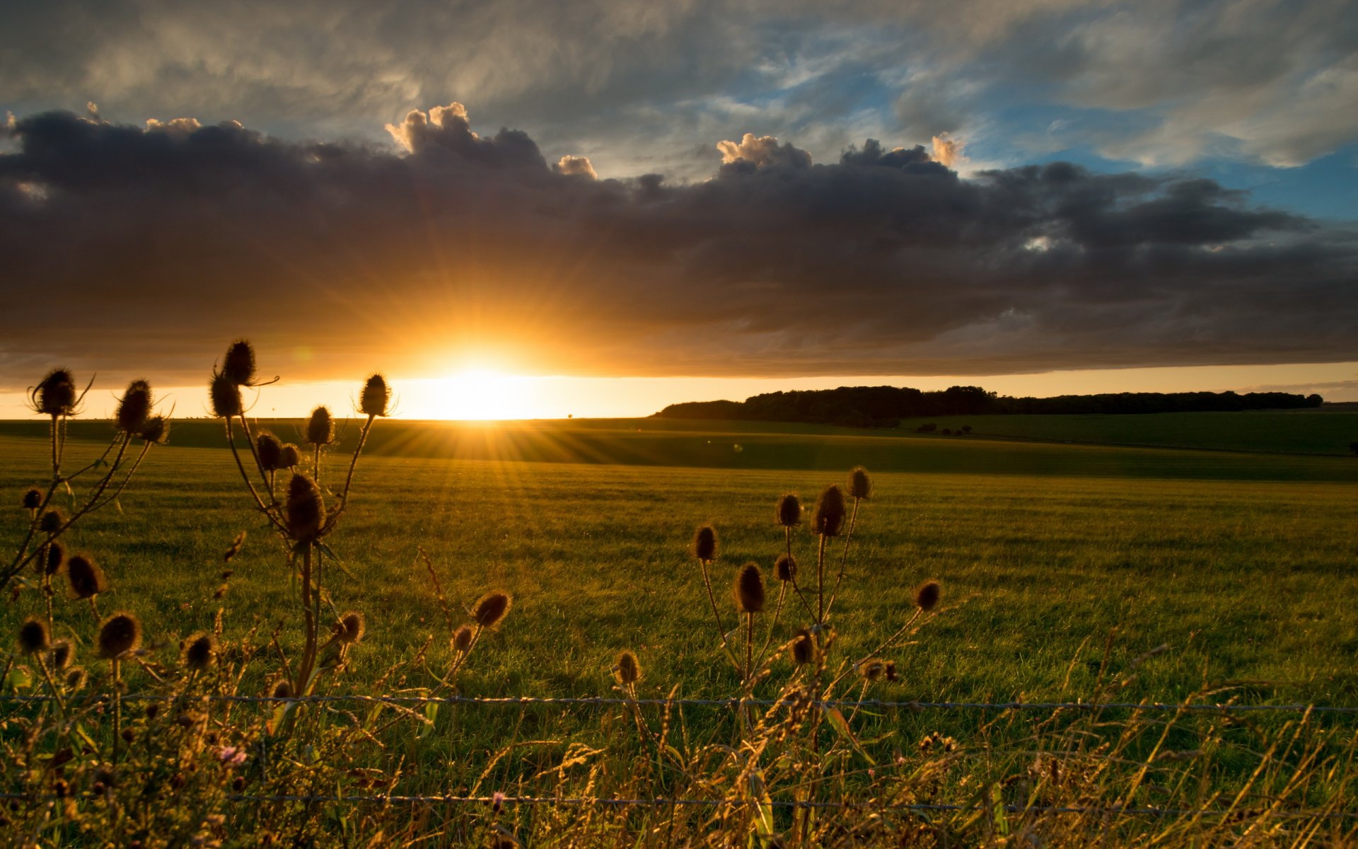 puesta de sol campo paisaje