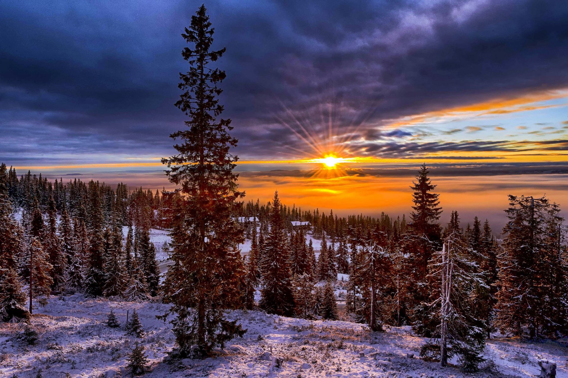 norway valley mountain hills tree christmas tree snow winter sun sky sunset nature landscape