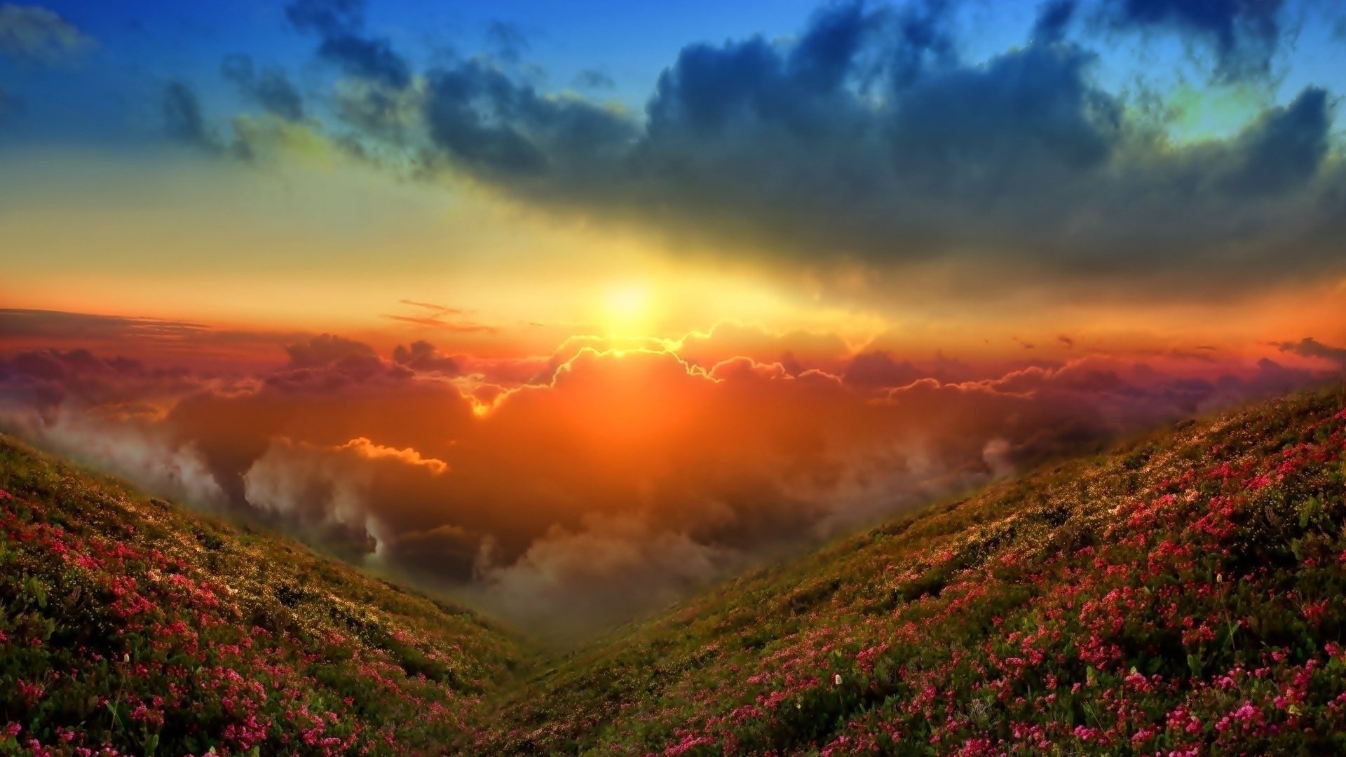 montañas colinas hierba flores dal cielo nubes amanecer puesta del sol