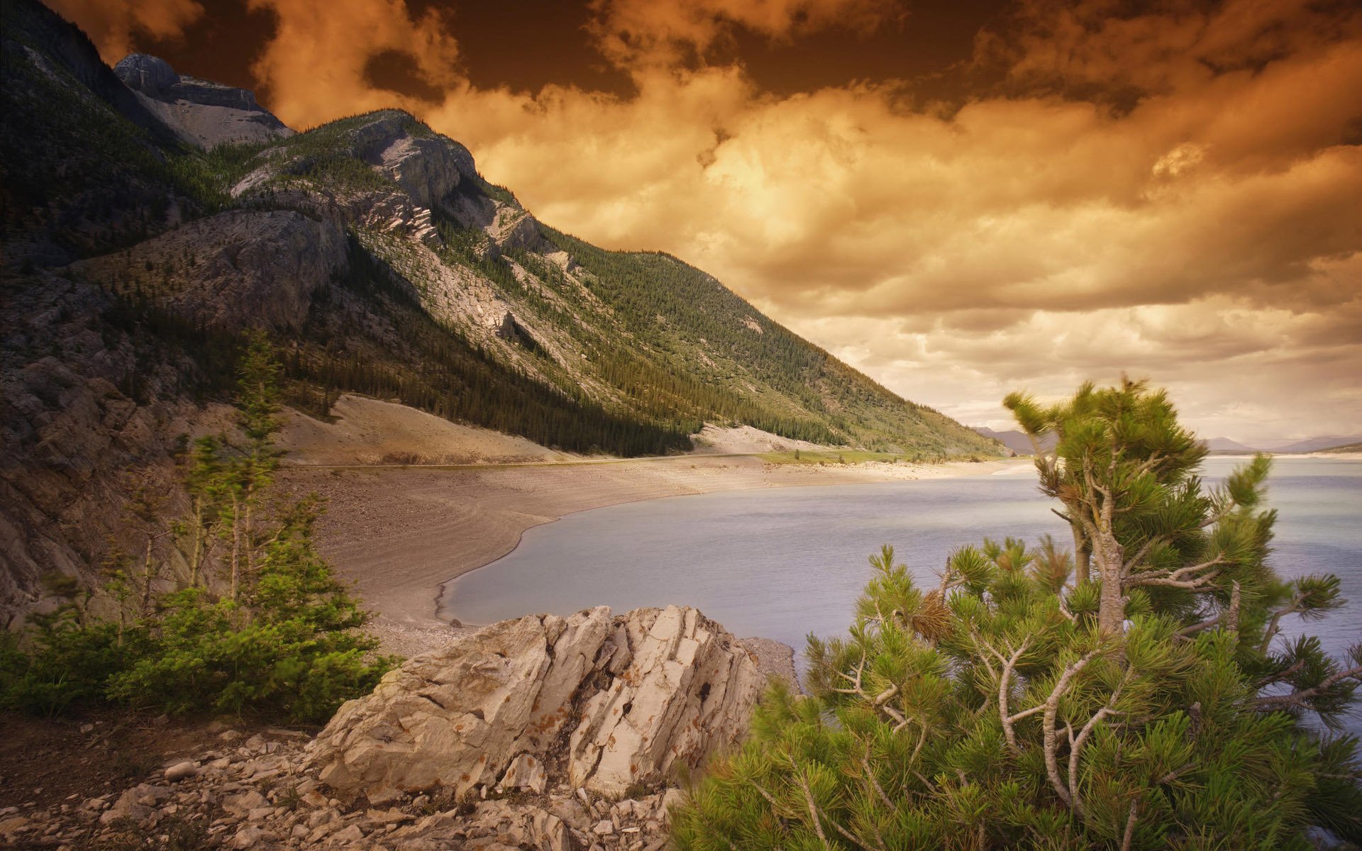 été côte mer rochers pierres arbres coucher de soleil