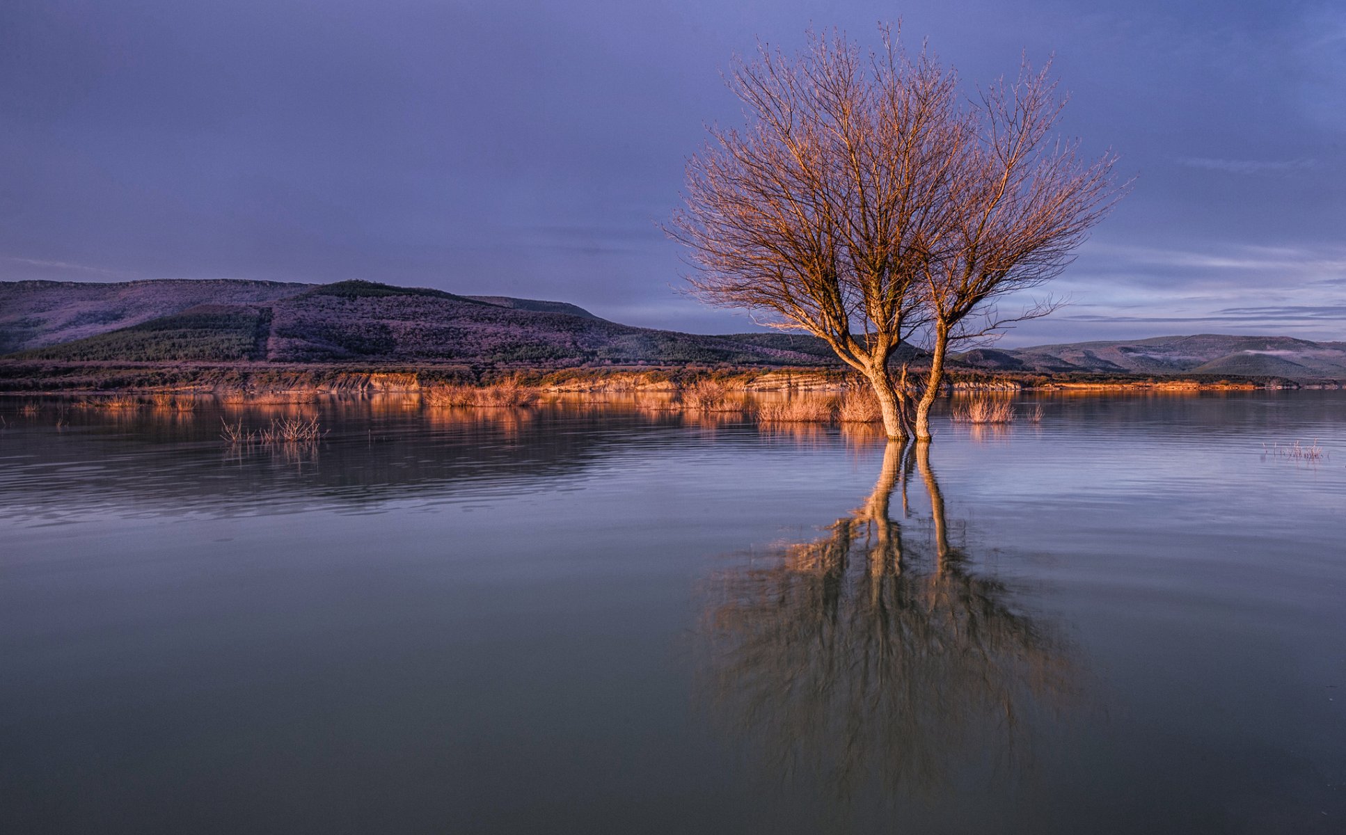 colinas lago árbol nubes