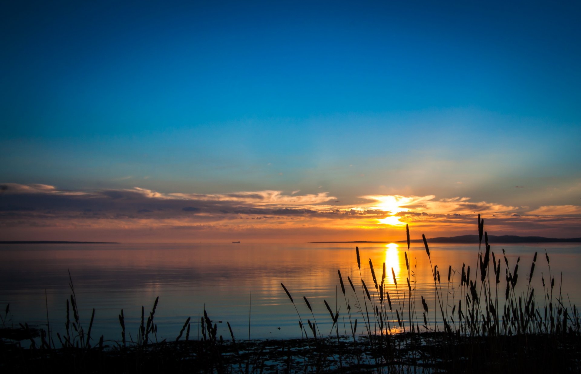 river australia dawn sunset sky coast port lincoln south australia grass nature photo