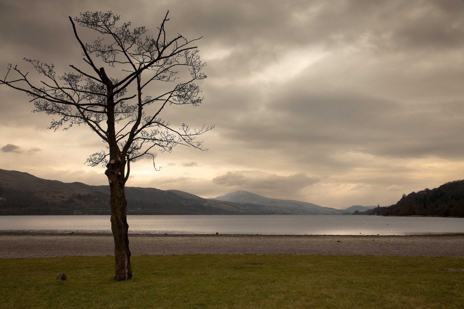 mountain lake tree cloud