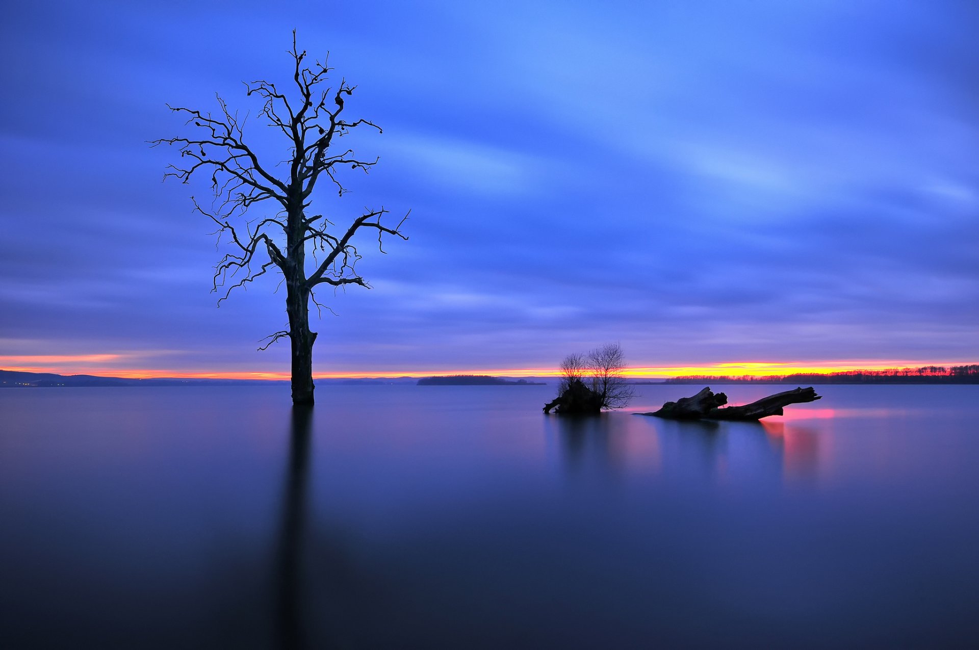 lago invierno árbol noche luz puesta de sol