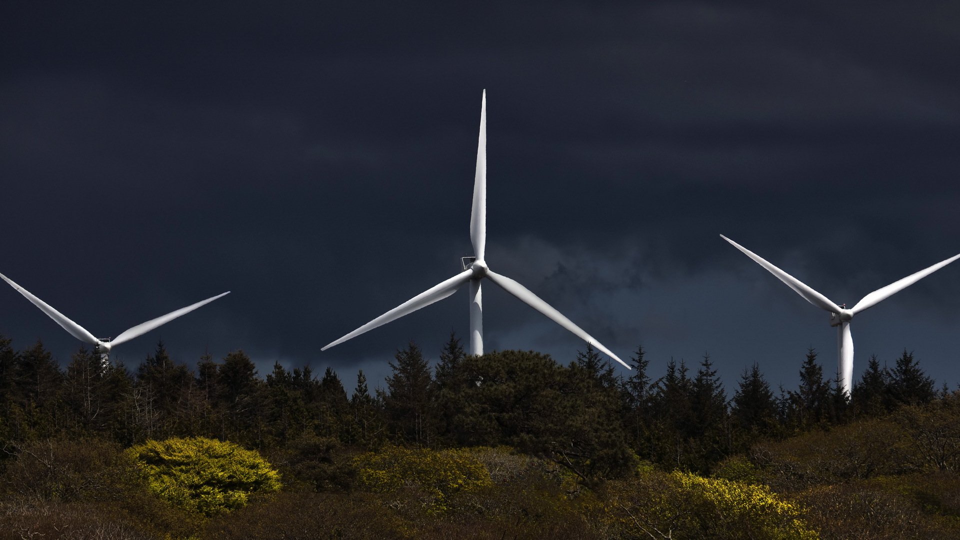 night wind turbines landscape