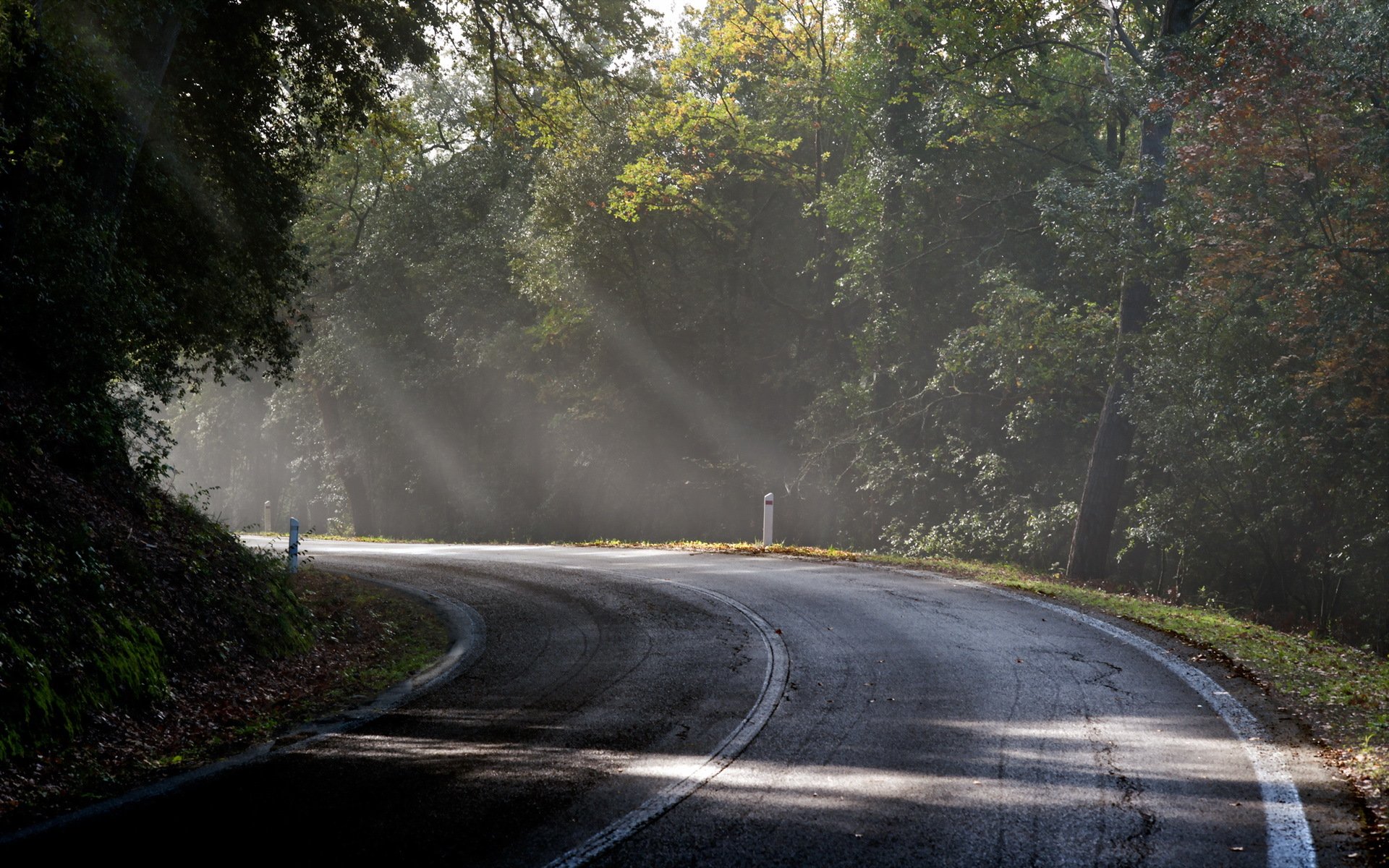 mattina strada nebbia luce paesaggio