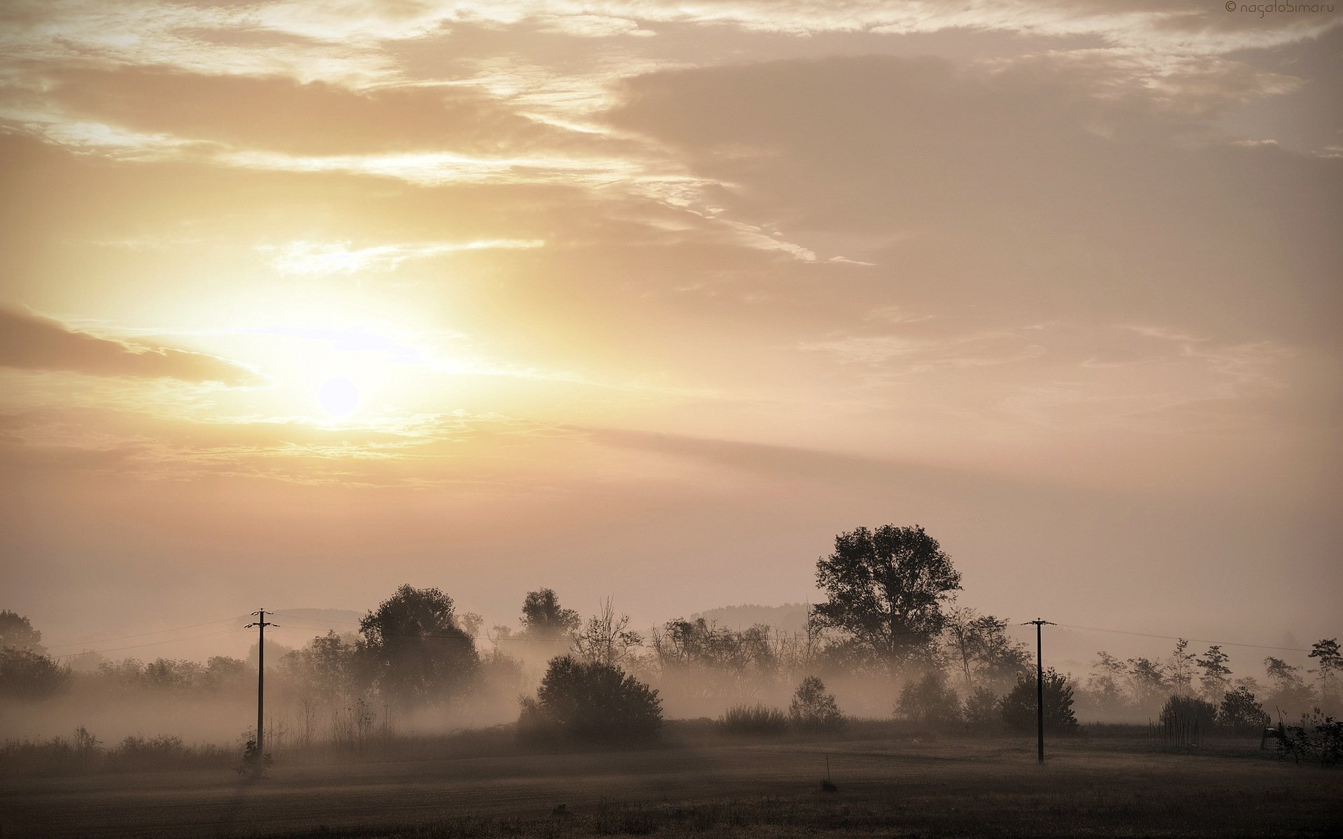 puesta de sol campo niebla paisaje