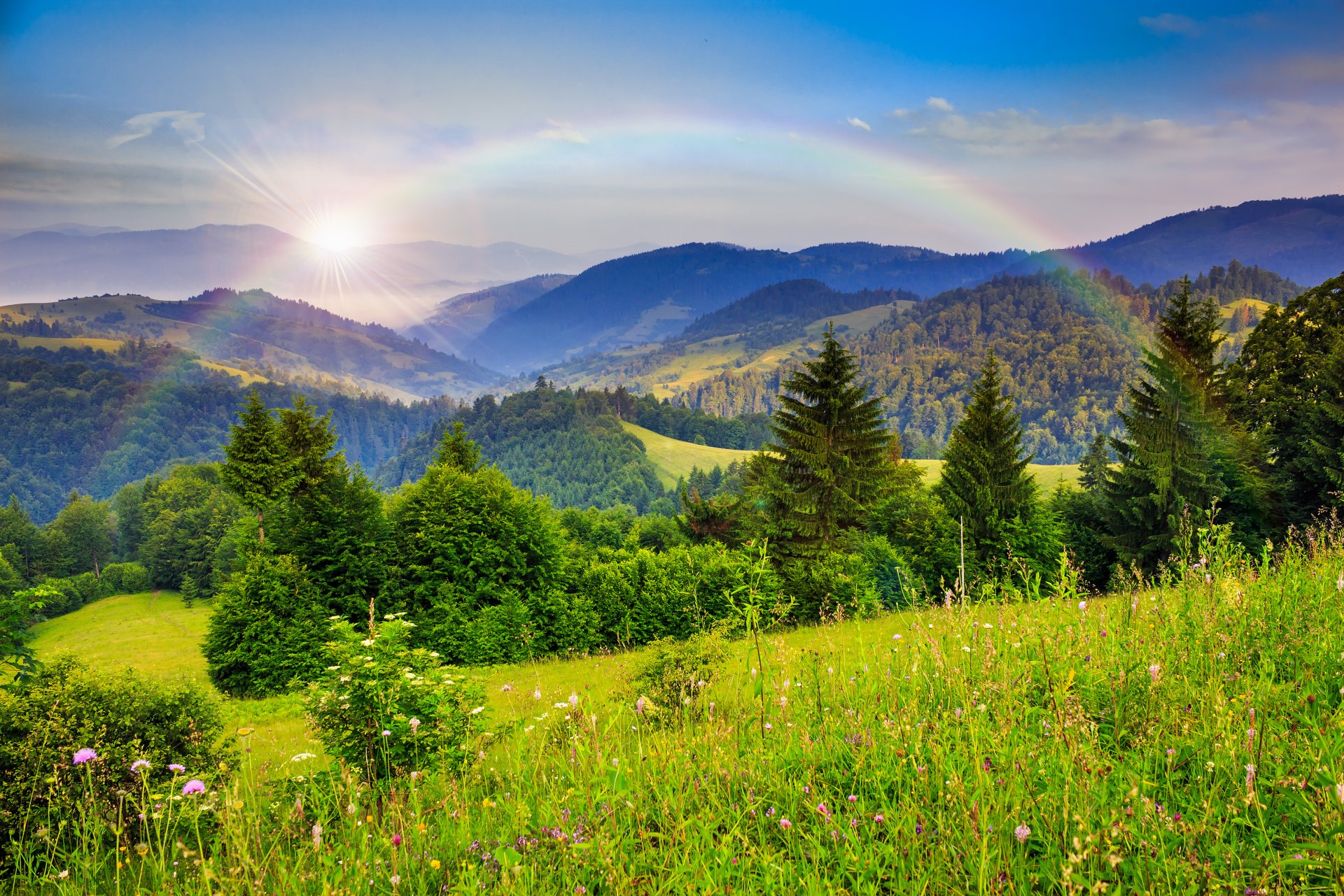 natur berge bäume wald regenbogen wald