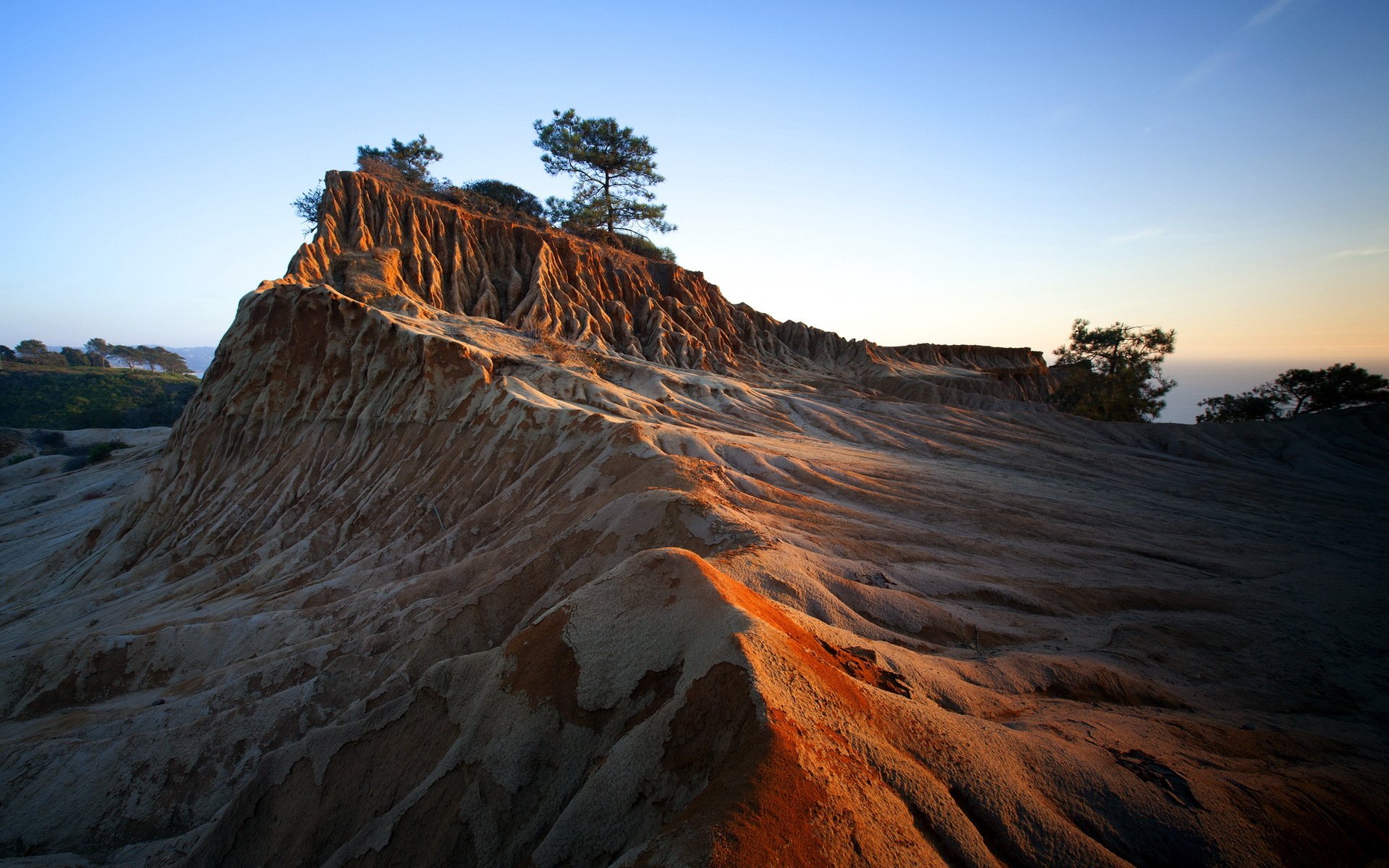 natur baum landschaft