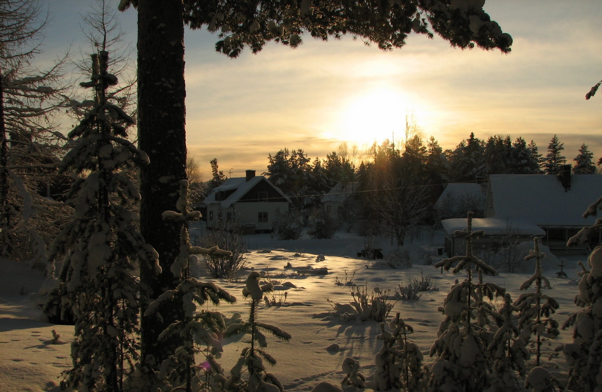 winter snow village forest winter