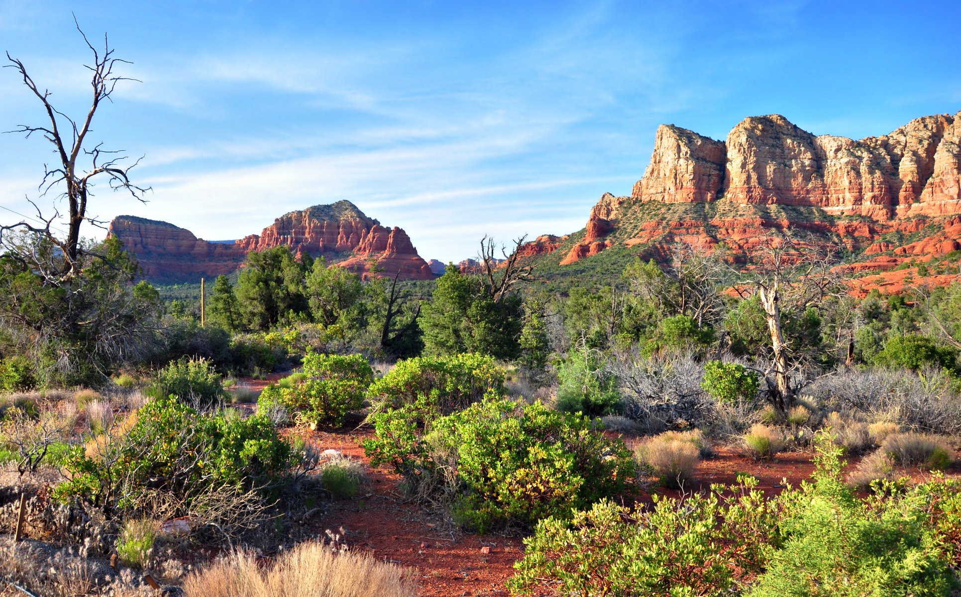 natura niebo chmury góry skały drzewa krzewy pustynia sedona arizona